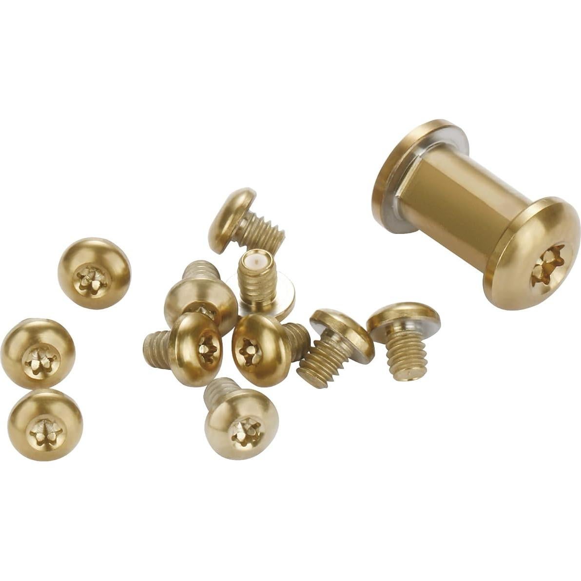 Juego de Tornillos y Pivotes Torx A.I.FORCE 13 Pcs Titanio Dorado