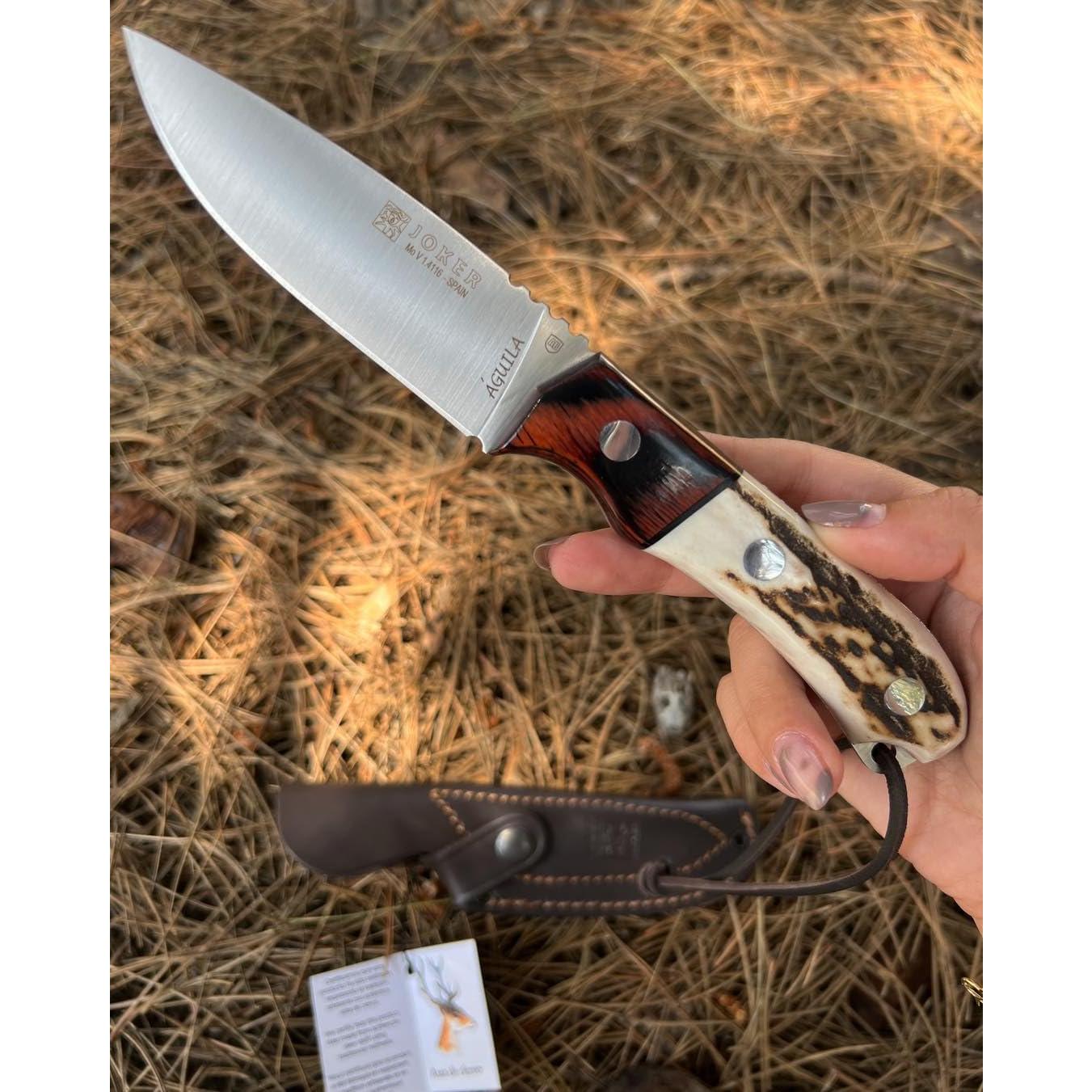 Cuchillo de Caza Joker Águila CC105, Hoja MOVA 10.5 cm, Cuerno de Ciervo