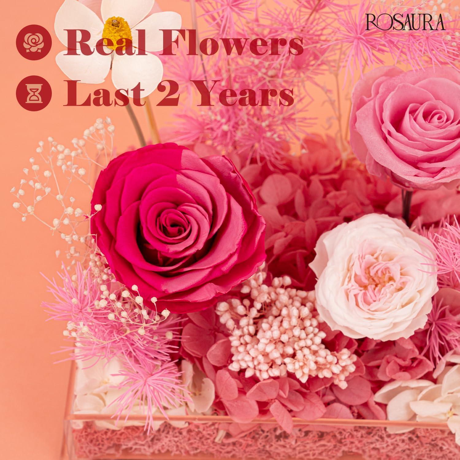 Caja de Exhibición Acrílica Rosaura con Flores Eternas 17.78x15.24 cm