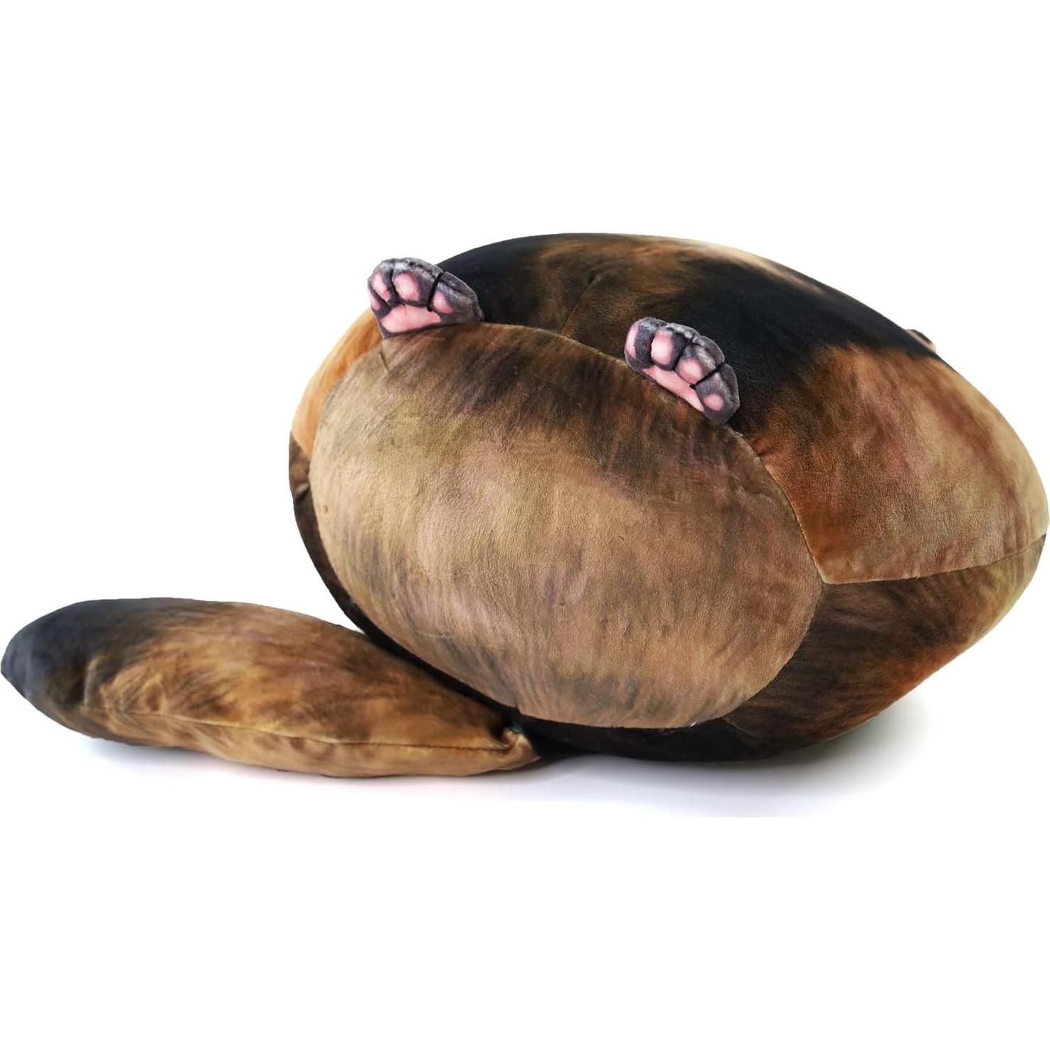 Peluche de Mapache Jason Toys 25.4 cm Suave y Decorativo