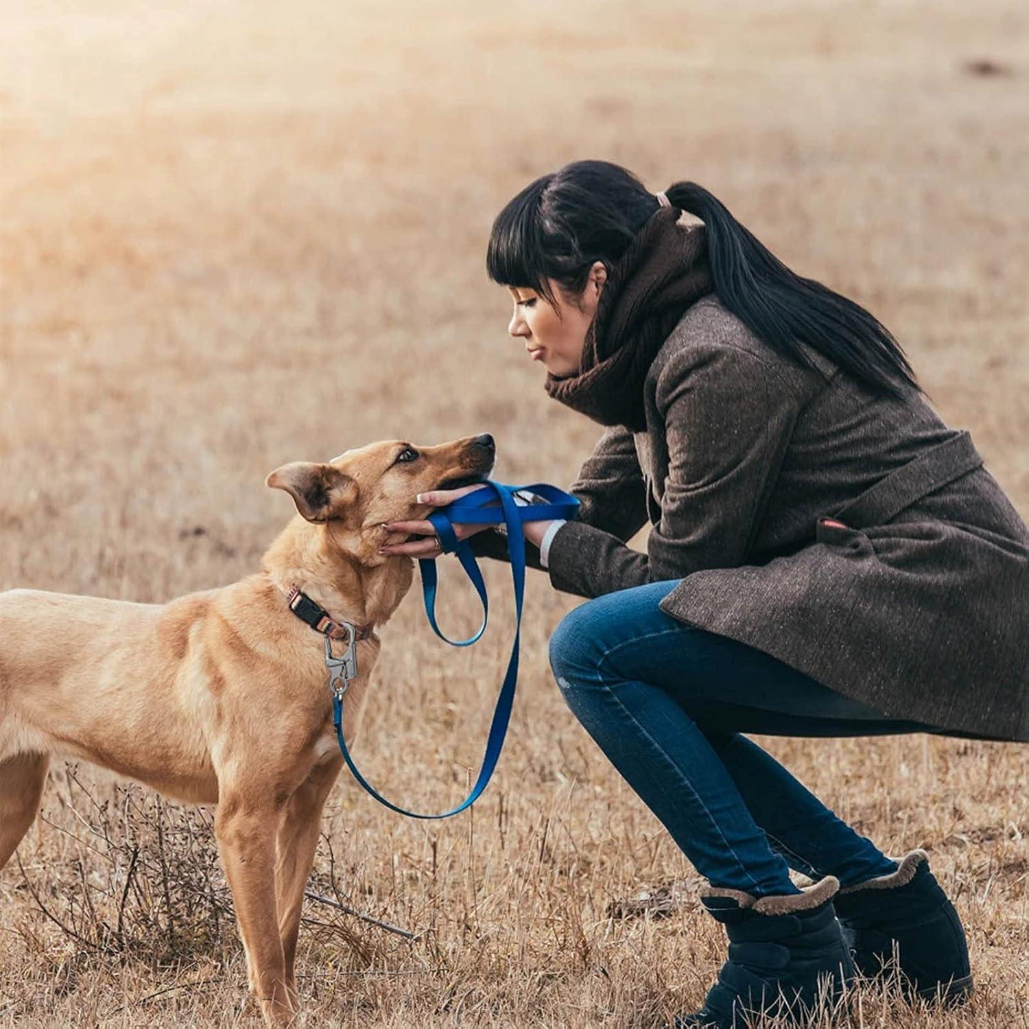 Clip de Carabinero Ahiller CD-LKK 3" Doble Anti-Apertura