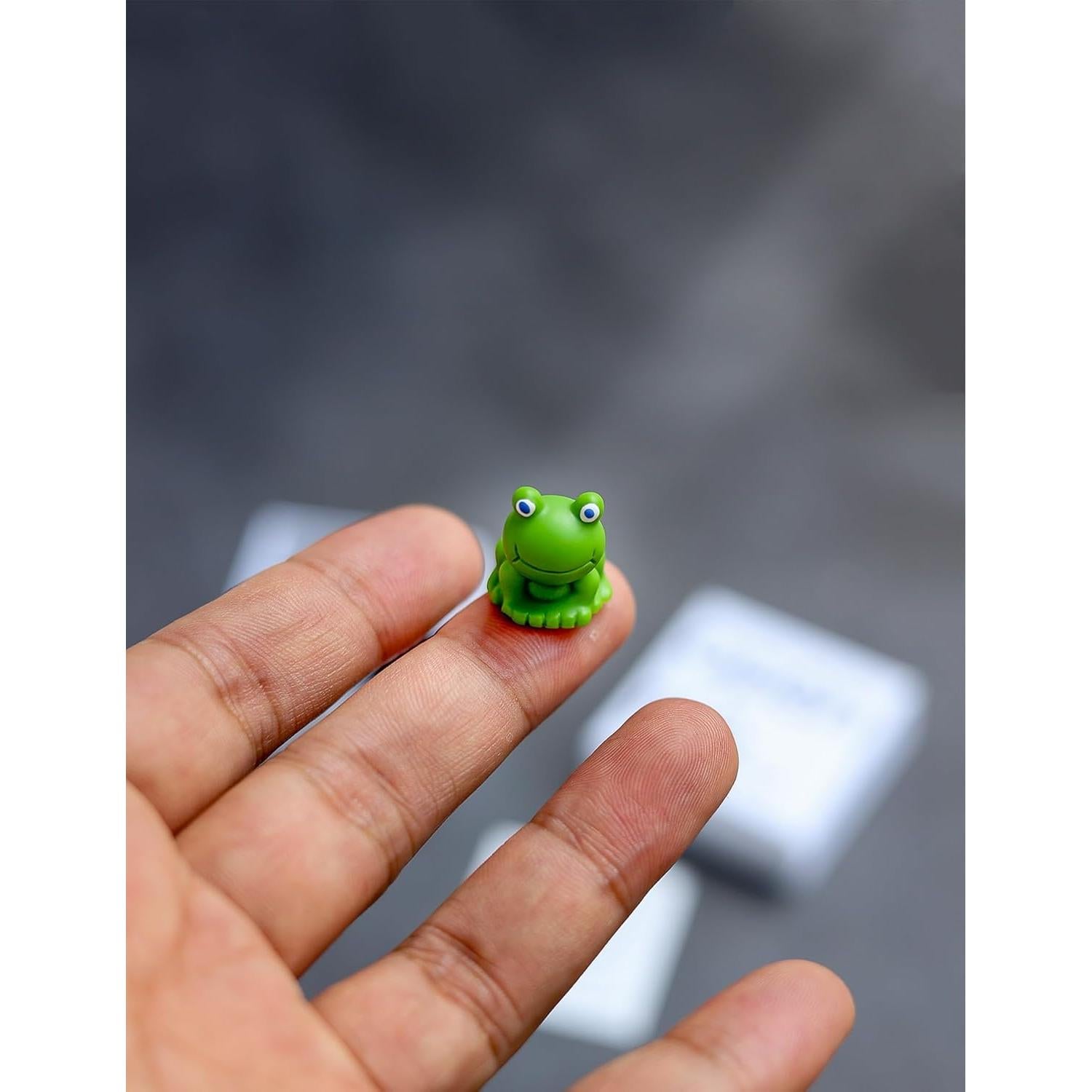 Regalo Creativo Rana con Poema - Caja de Felicidad Funfeel