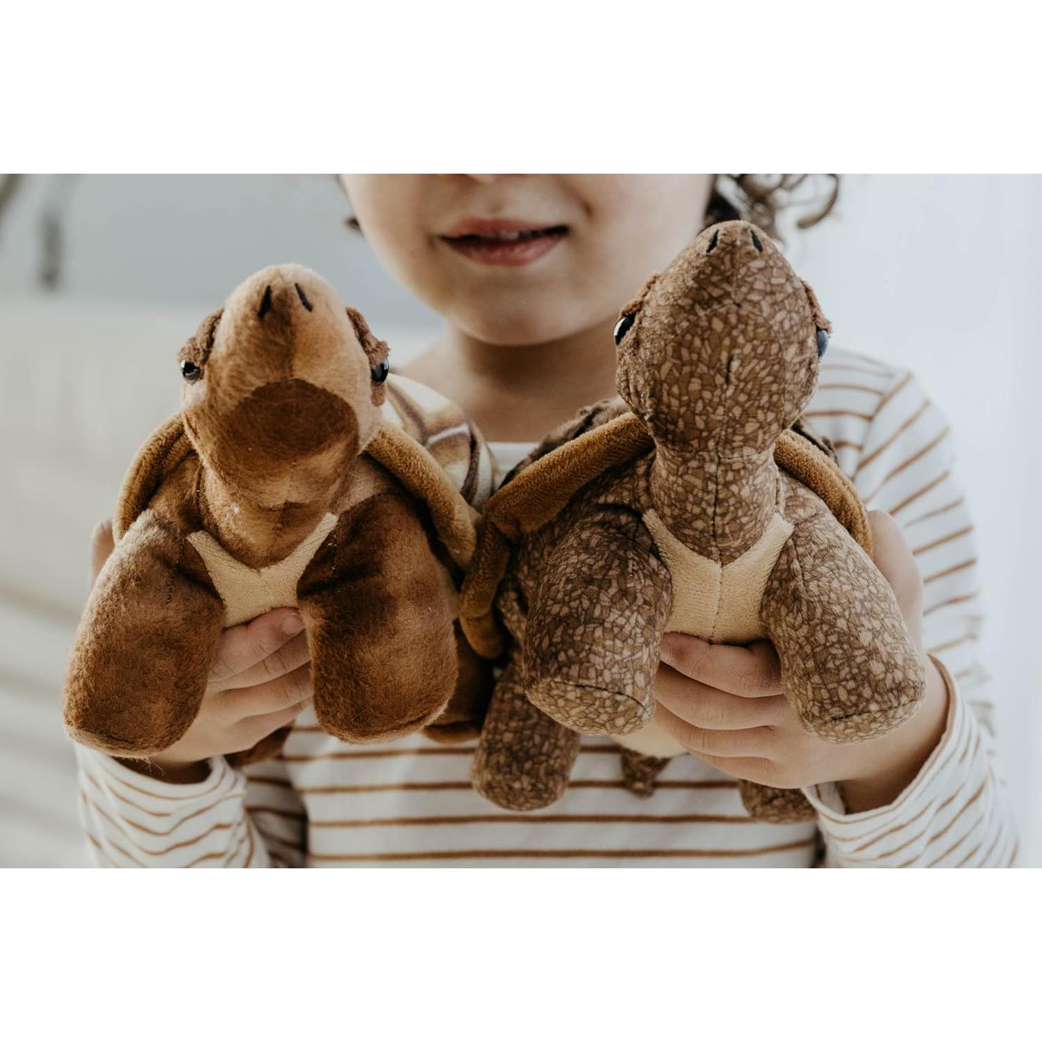 Tortuga de Peluche El Zoológico de Caricias 22.86 cm