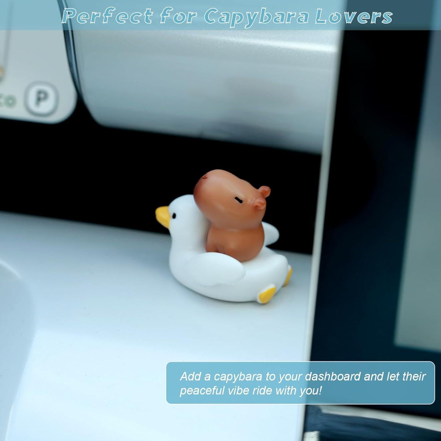 Figuras Mini Capibara YGMONER - Juego de 9 Piezas Decorativas