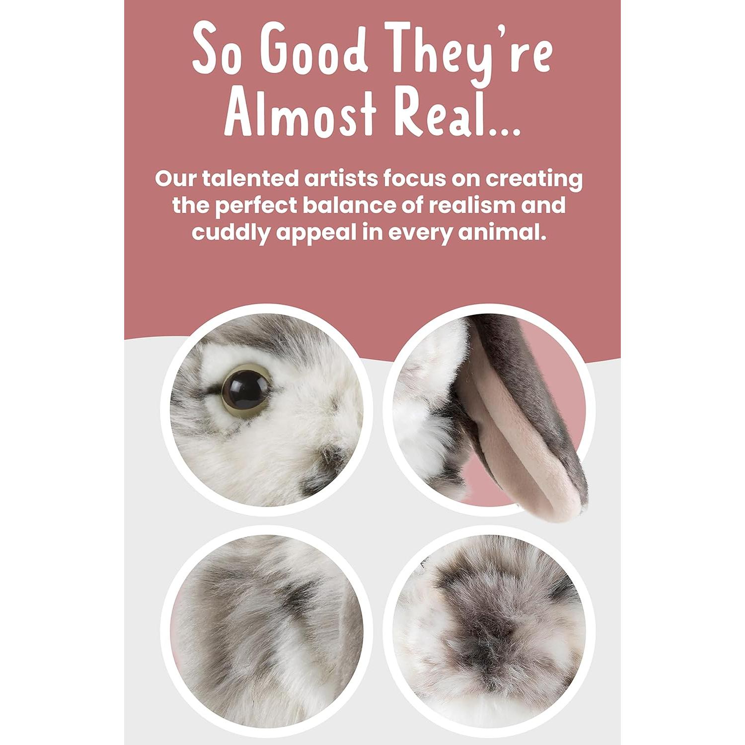 Conejo de Peluche Living Nature Dutch Lop Eared Gris 30 cm