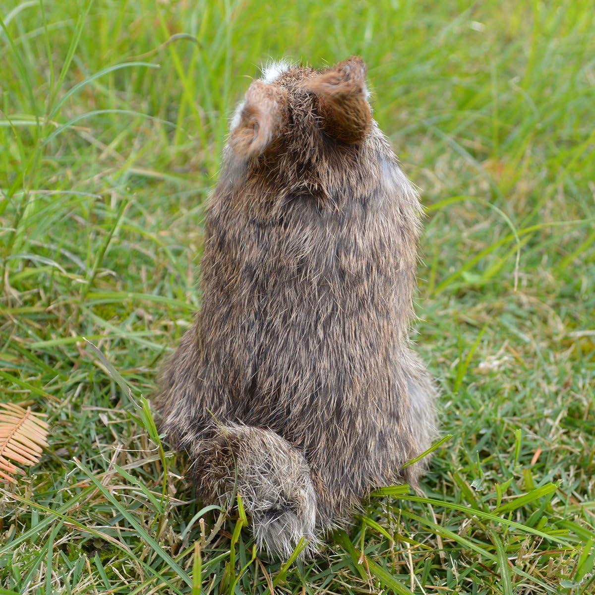 Pack de 2 Conejos de Pascua Peludos Basuo-9Q 10x7x14cm