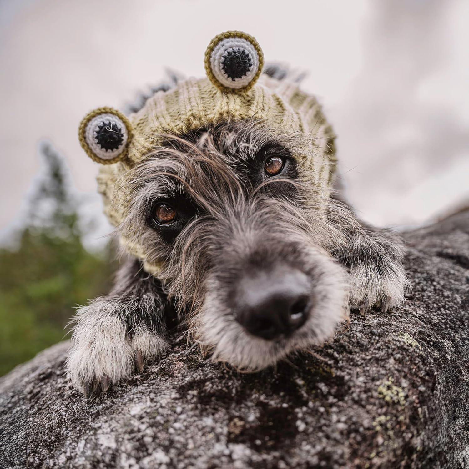 Disfraz de Snood de Rana para Perro Mediano Zoo Snoods