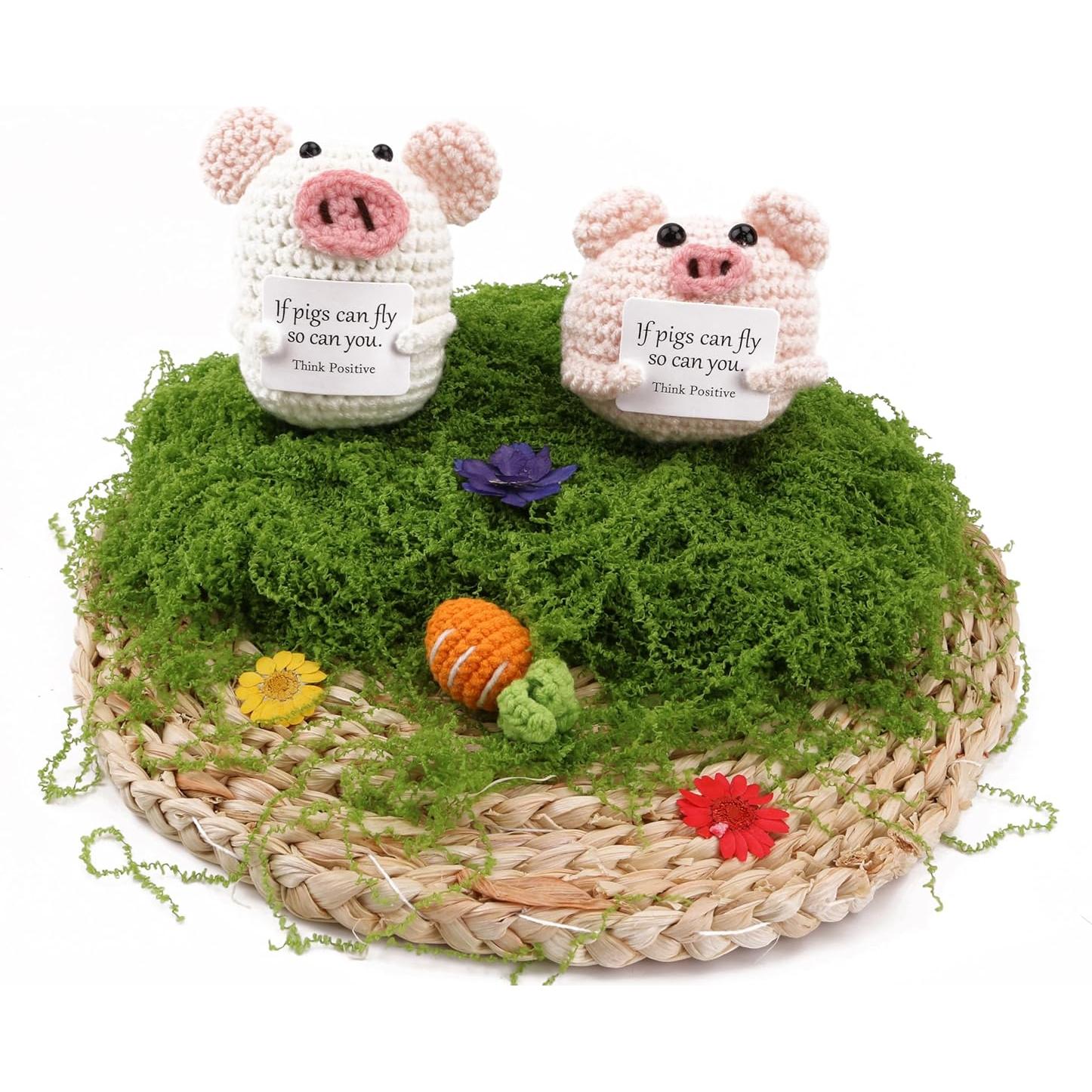 2 Piezas Cerdo Tejido a Mano Caiyjhao con Tarjetas Inspiradoras