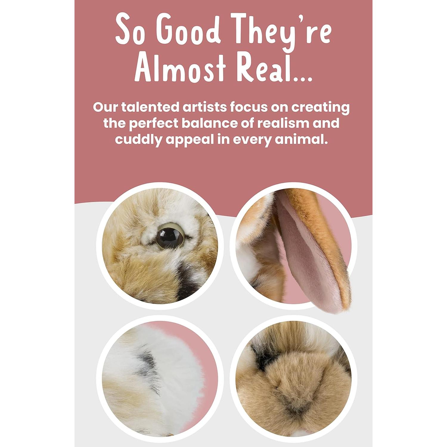 Conejo de Peluche Living Nature Brown Dutch Lop Eared 30 cm