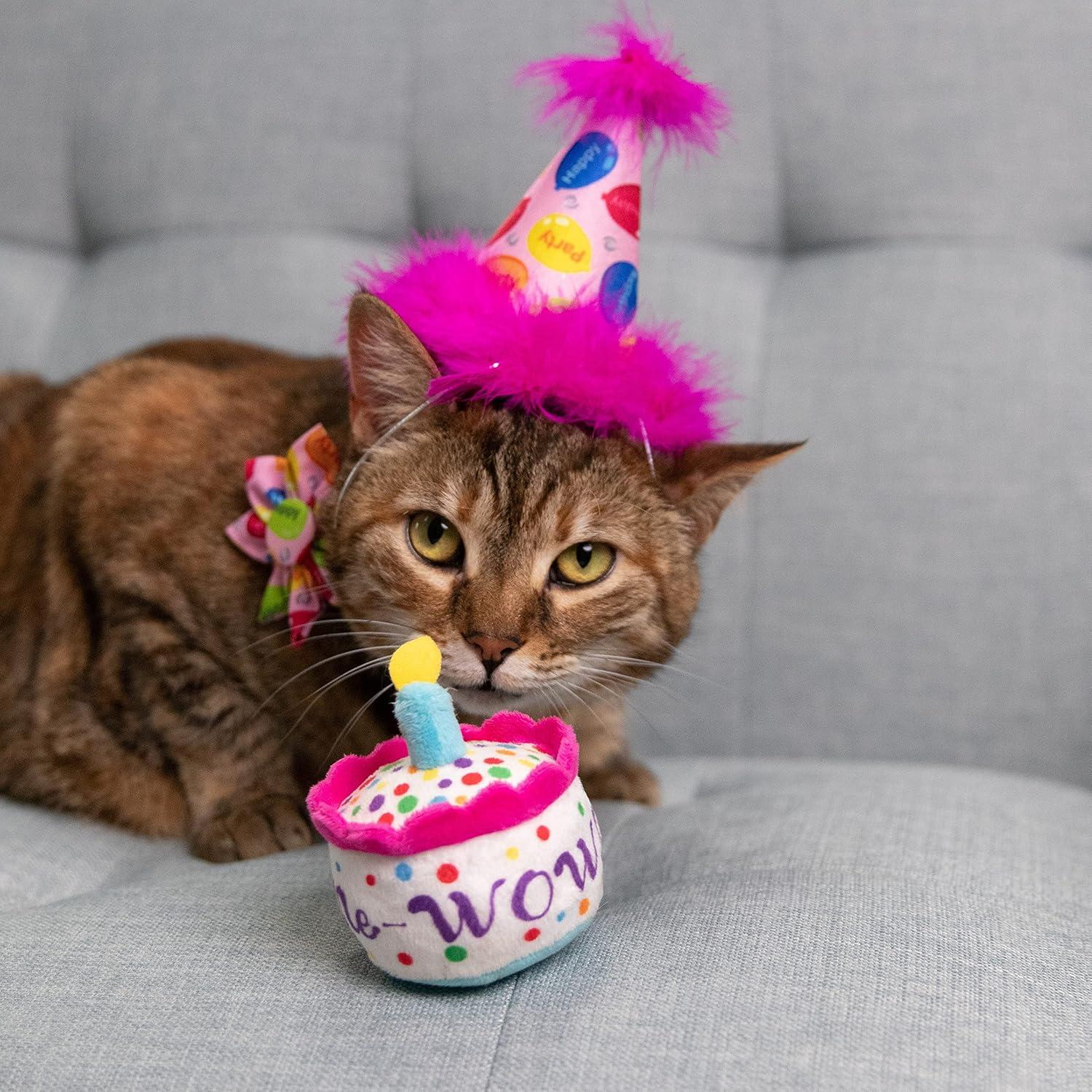 Sombrero de Fiesta para Mascotas Huxley & Kent Rosa Grande