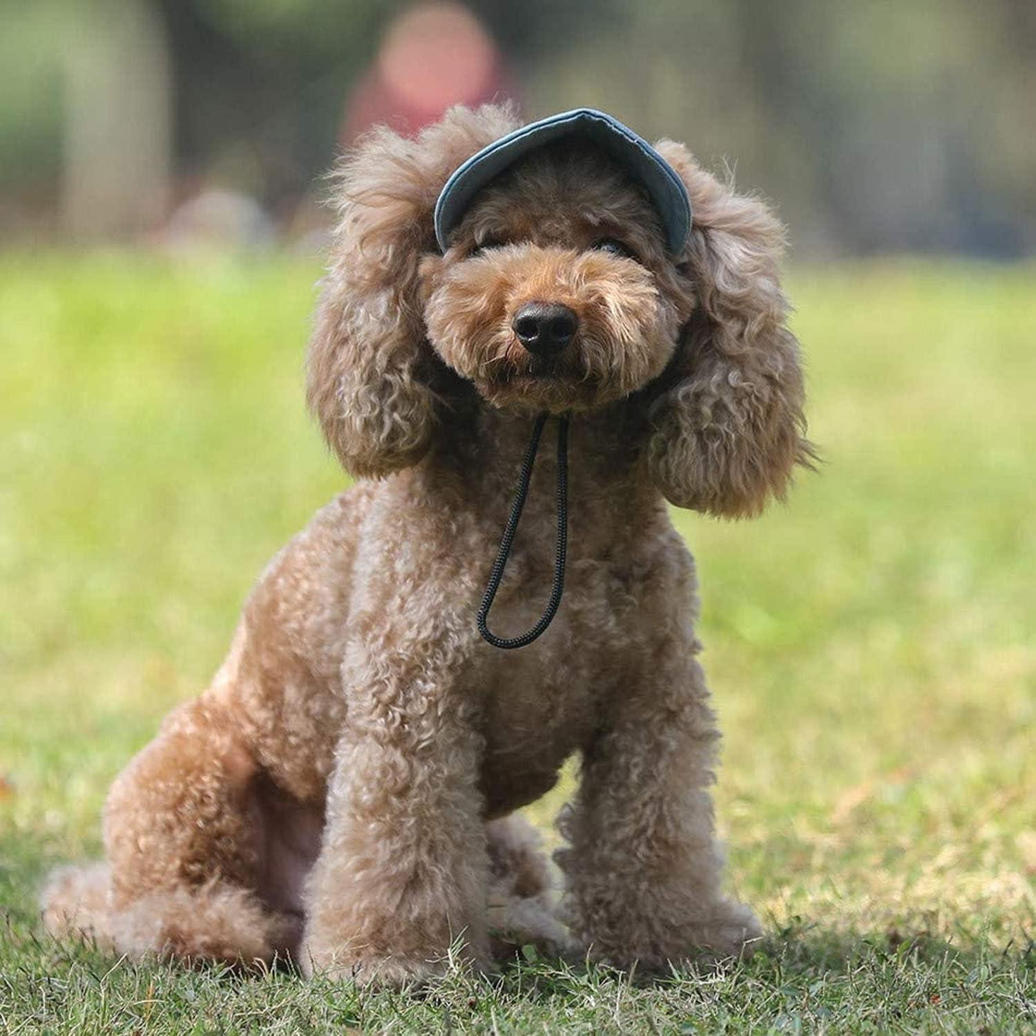 Gorra para Perros HDKUW Ajustable Azul Denim Tamaño S
