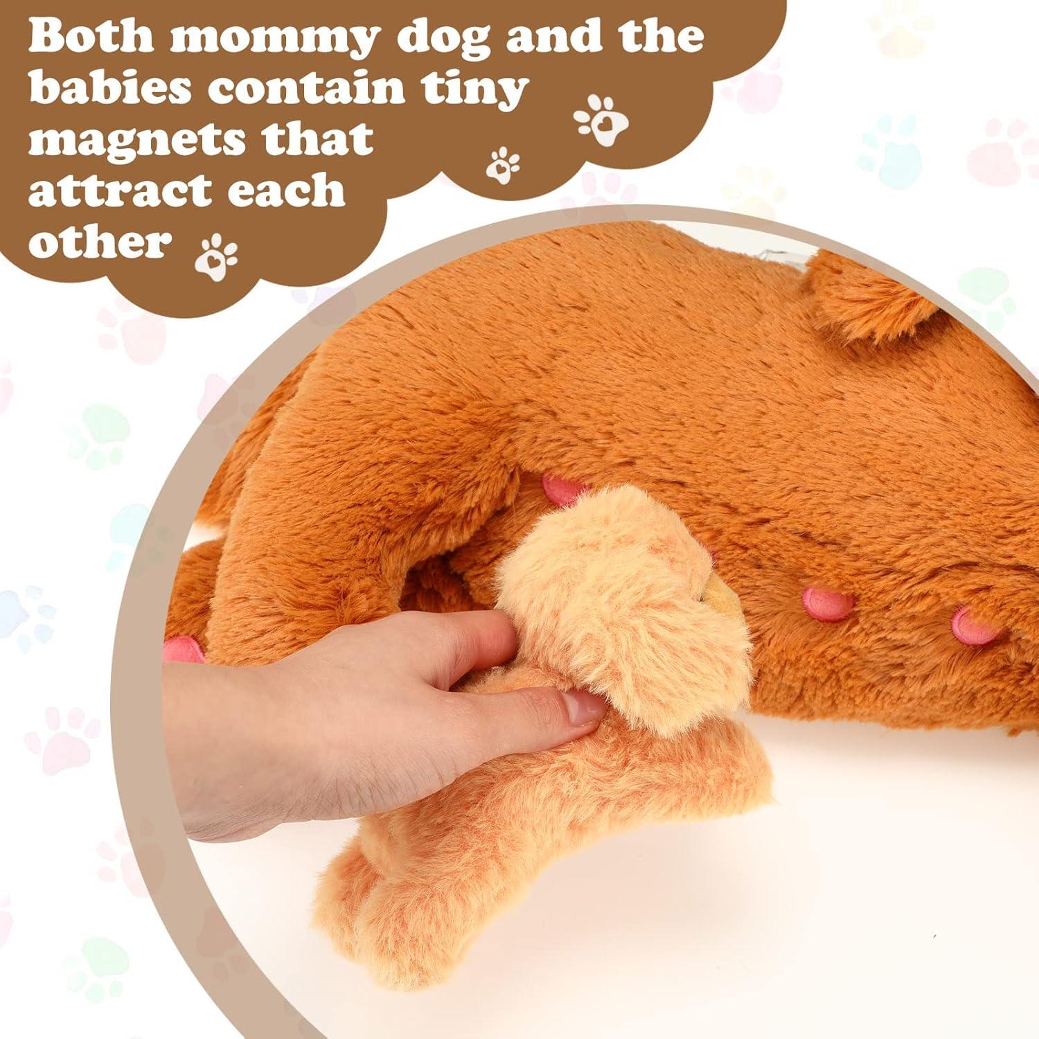 Conjunto de Peluches Golden Retriever HyDren 5 Piezas 40 cm