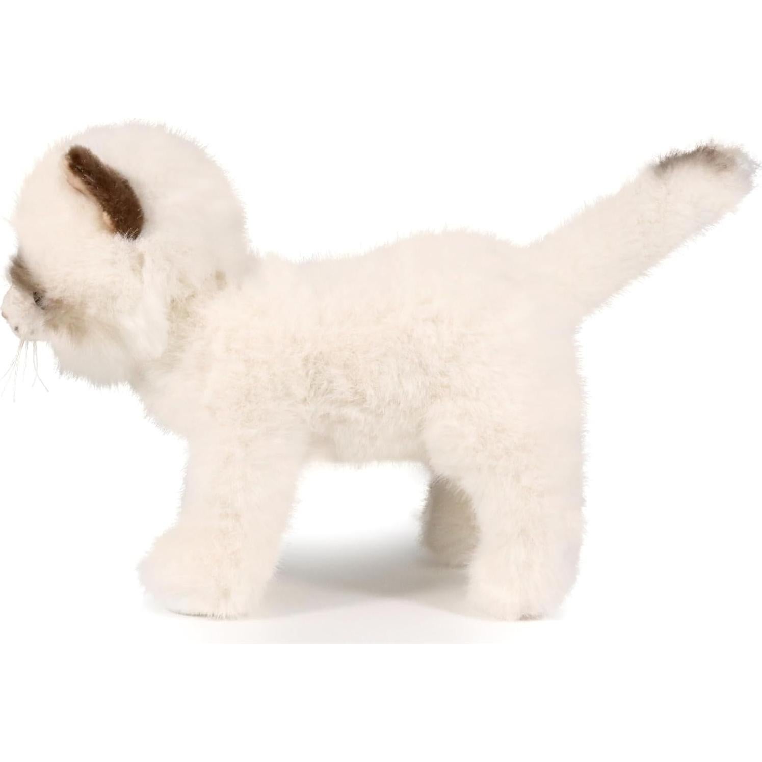 Juguete de Peluche Gato Ragdoll ICE KING BEAR 20 cm