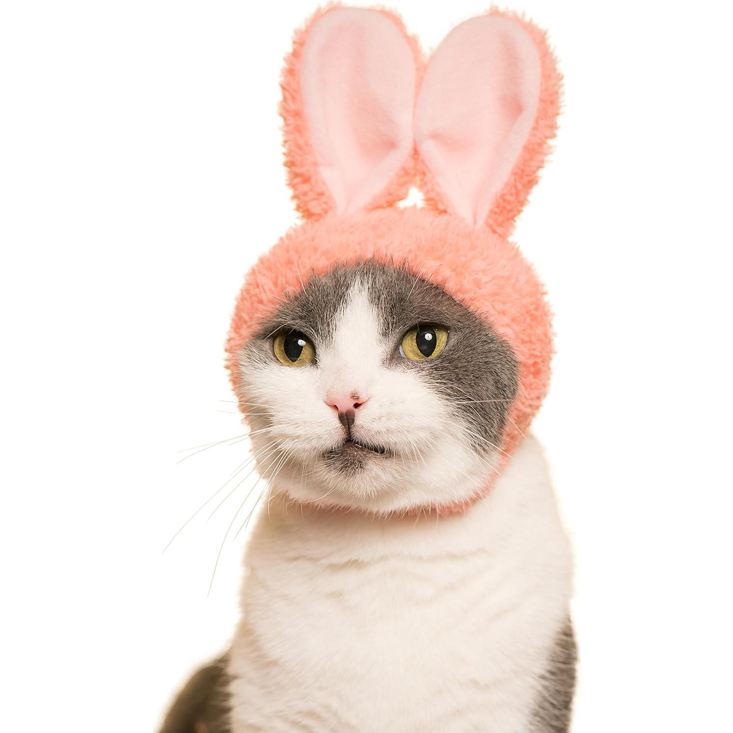 Gorra para Gato Kitan Club Conejo - Caja Sorpresa Kawaii