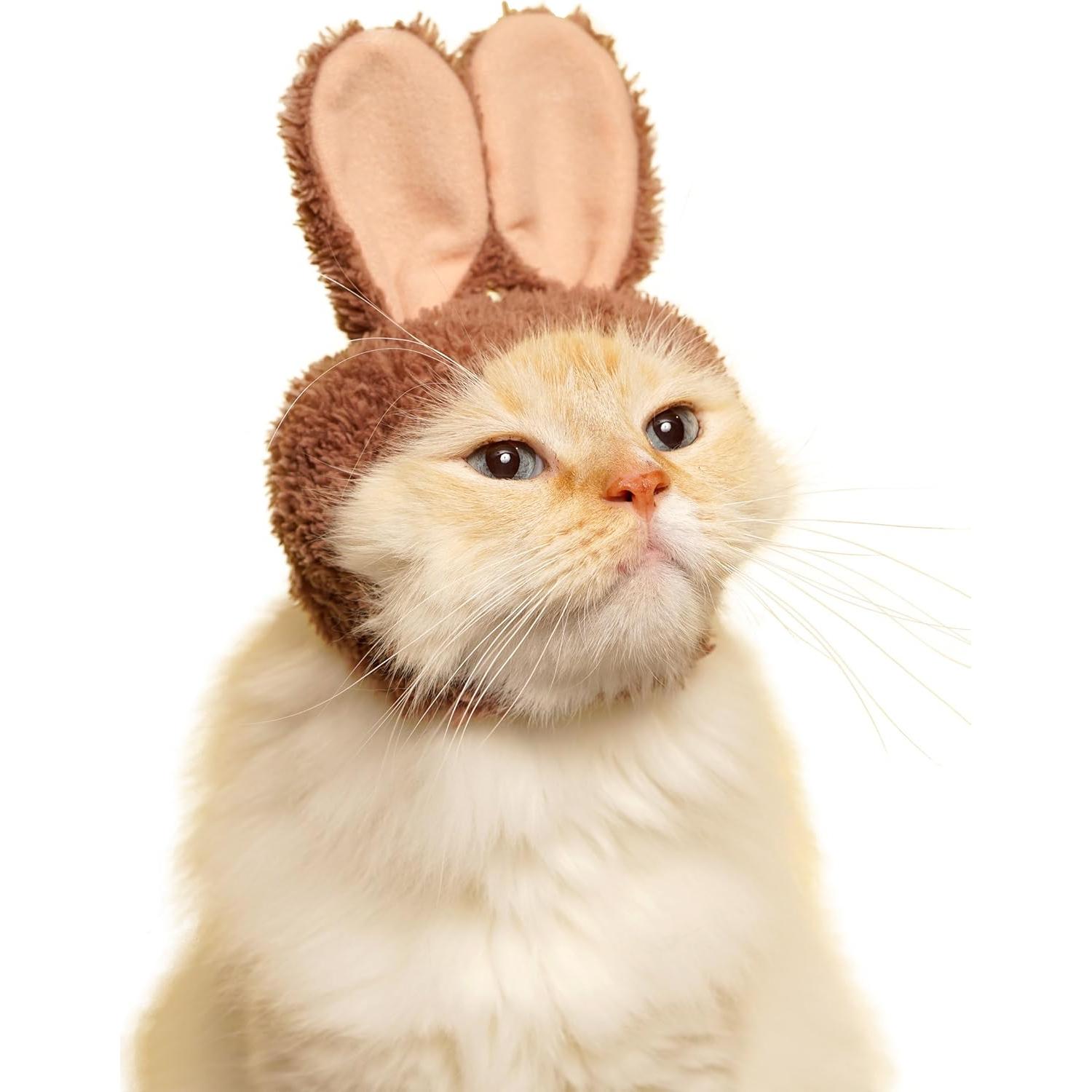 Gorra para Gato Kitan Club Conejo - Caja Sorpresa Kawaii