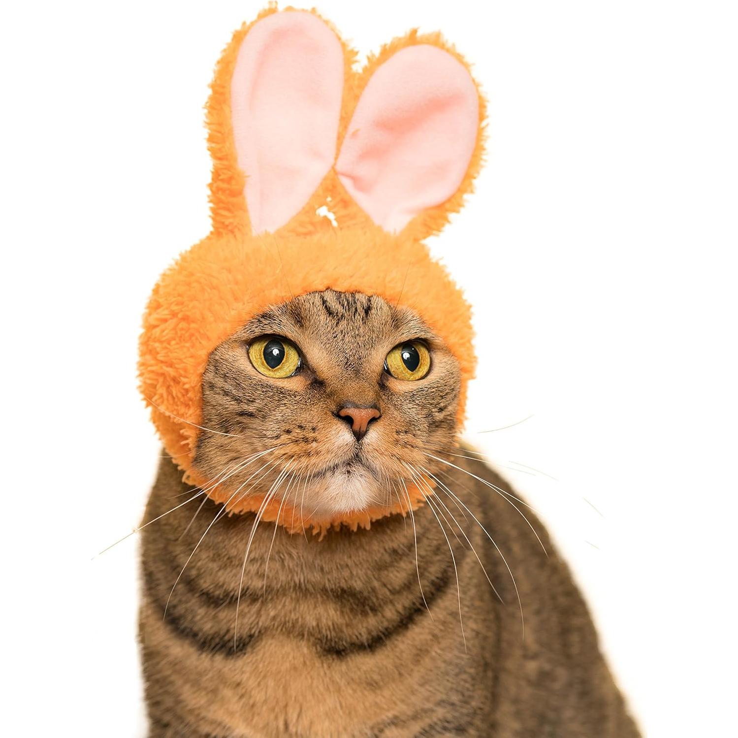 Gorra para Gato Kitan Club Conejo - Caja Sorpresa Kawaii