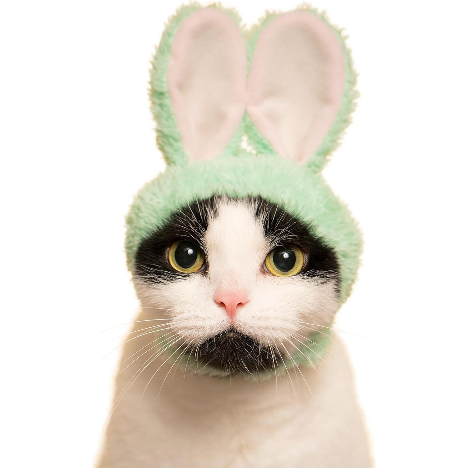 Gorra para Gato Kitan Club Conejo - Caja Sorpresa Kawaii