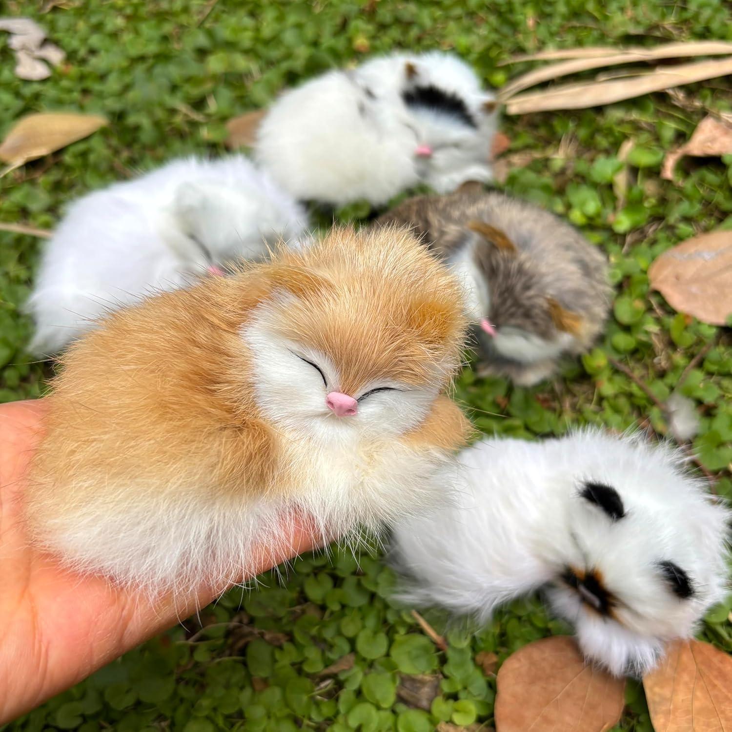 Paquete de 5 Gatitos Bebés Peludos Realistas Decorativos
