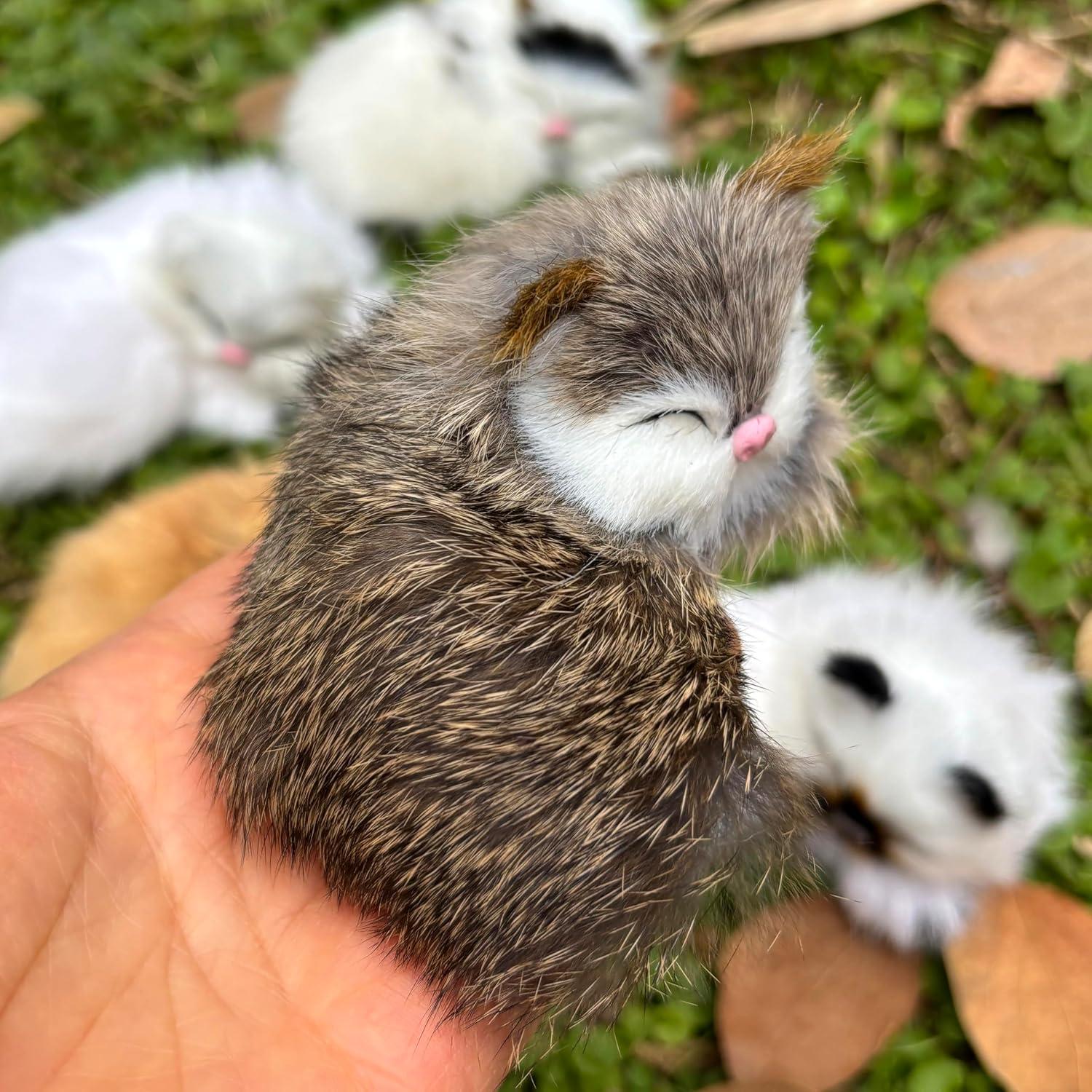 Paquete de 5 Gatitos Bebés Peludos Realistas Decorativos