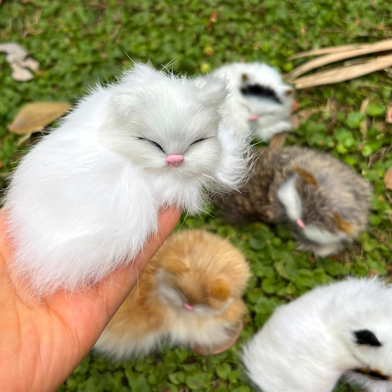Paquete de 5 Gatitos Bebés Peludos Realistas Decorativos