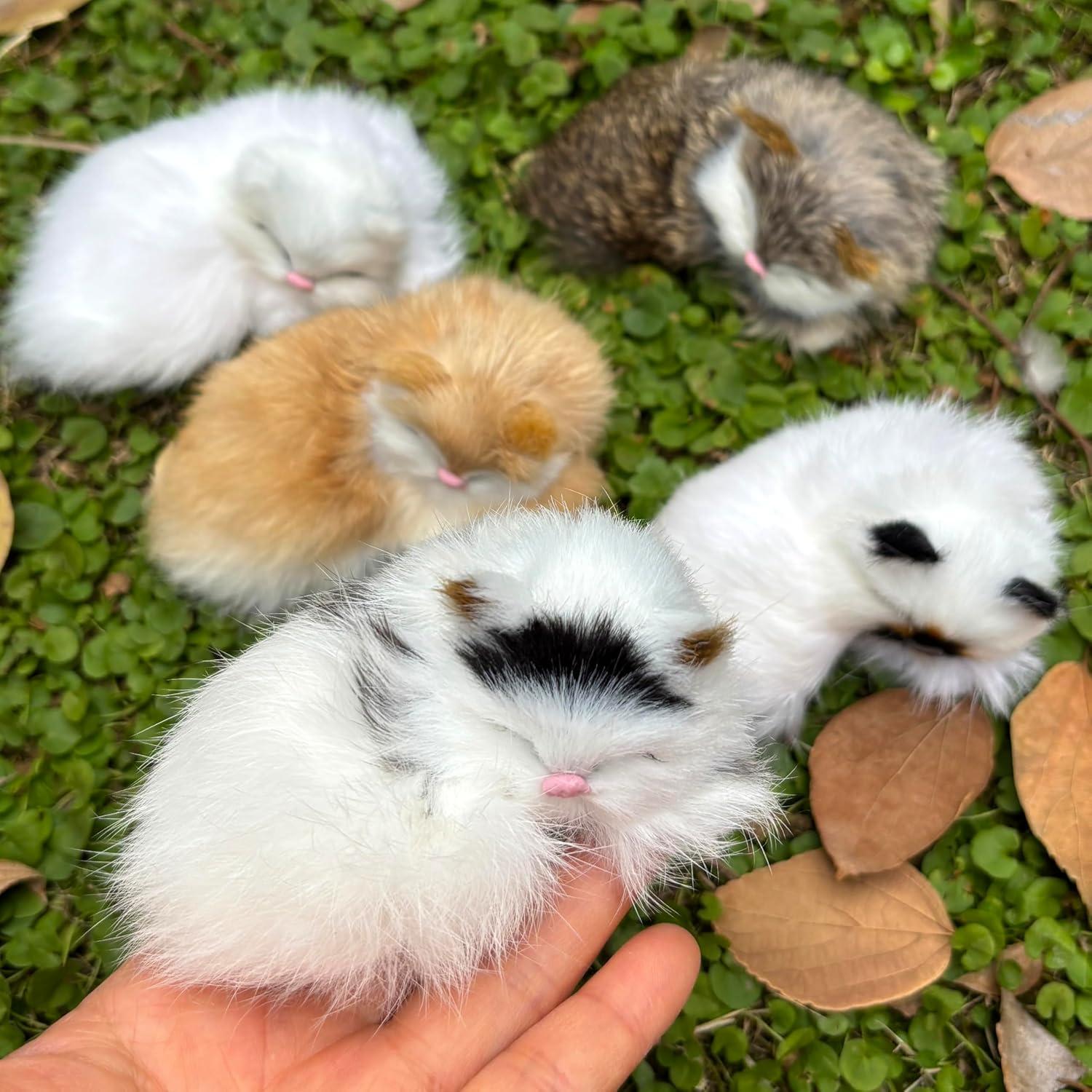 Paquete de 5 Gatitos Bebés Peludos Realistas Decorativos