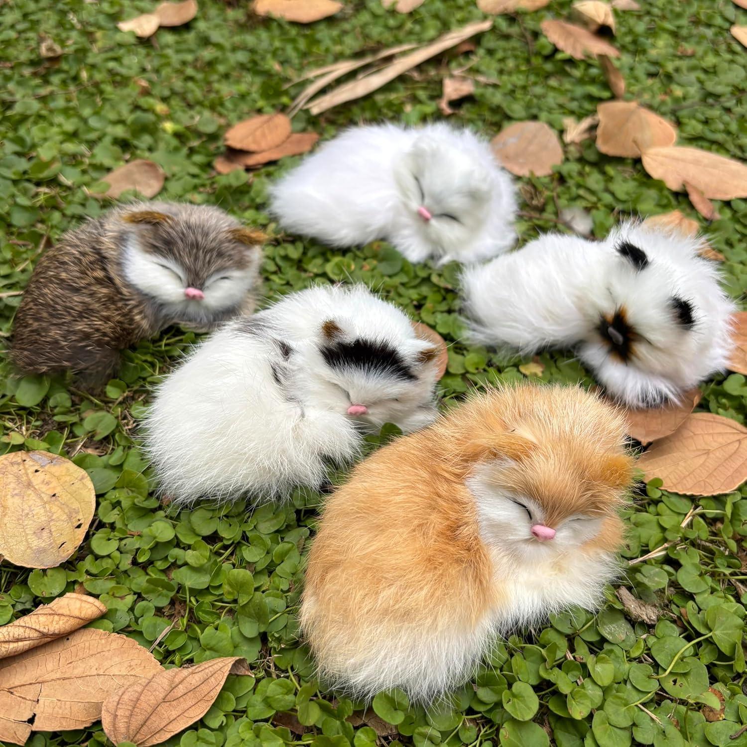 Paquete de 5 Gatitos Bebés Peludos Realistas Decorativos