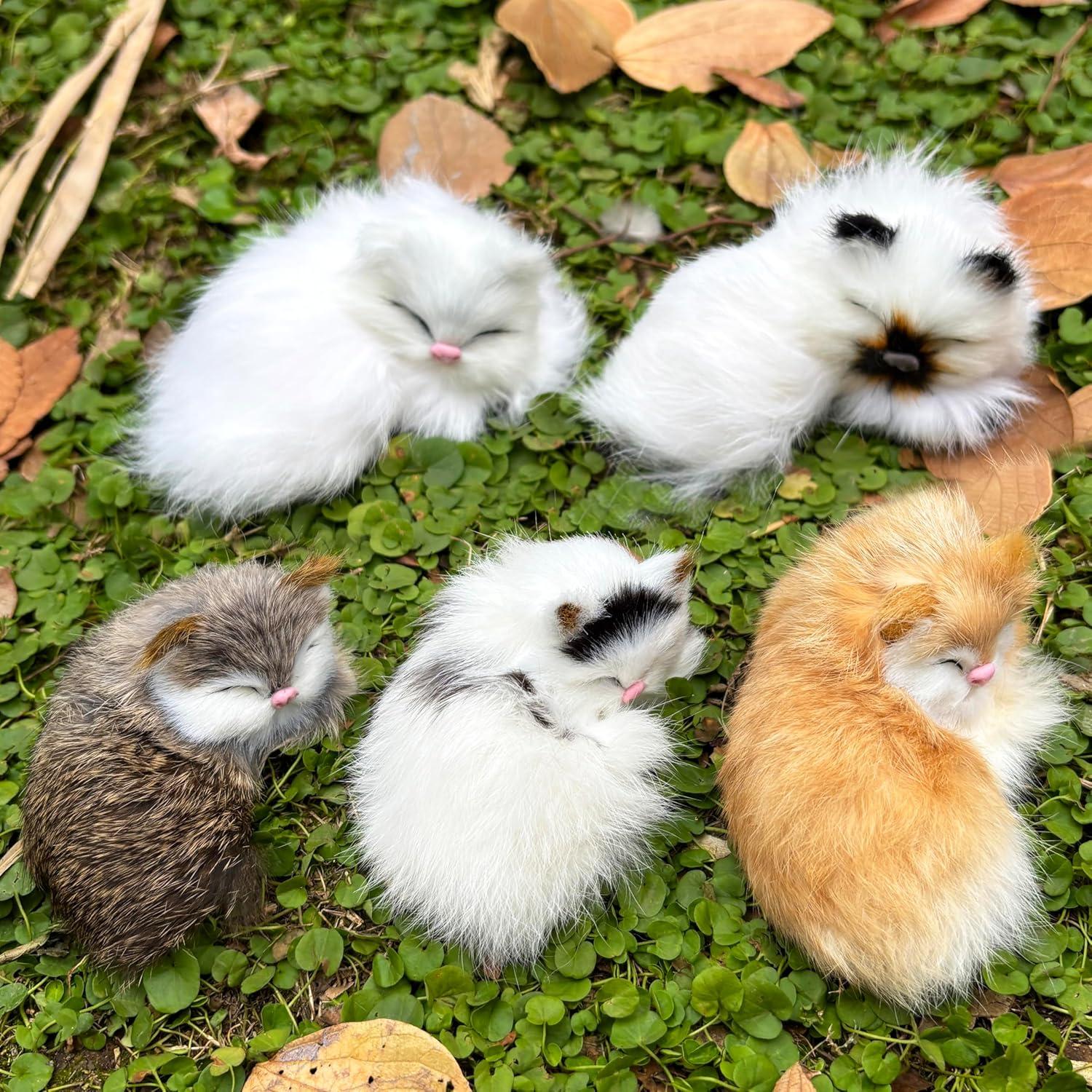Paquete de 5 Gatitos Bebés Peludos Realistas Decorativos