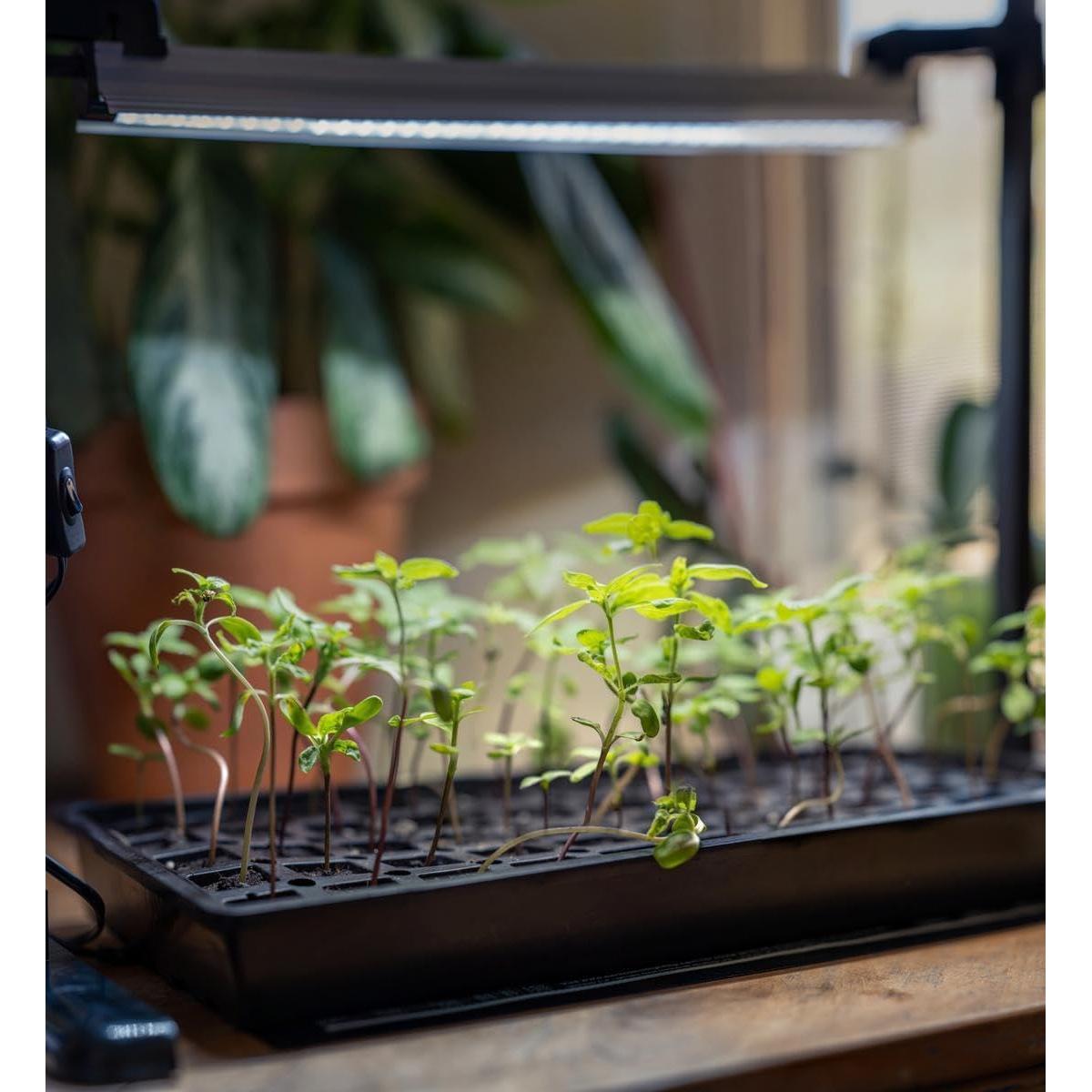 Mini Invernadero LED SunBlaster con Soporte y Temporizador