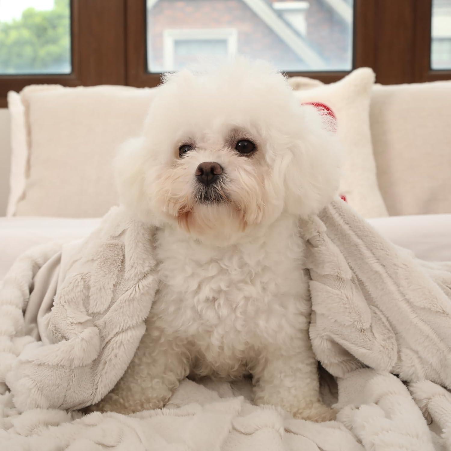 Manta de Piel Sintética Cozy Bliss 127x152cm Beige Suave