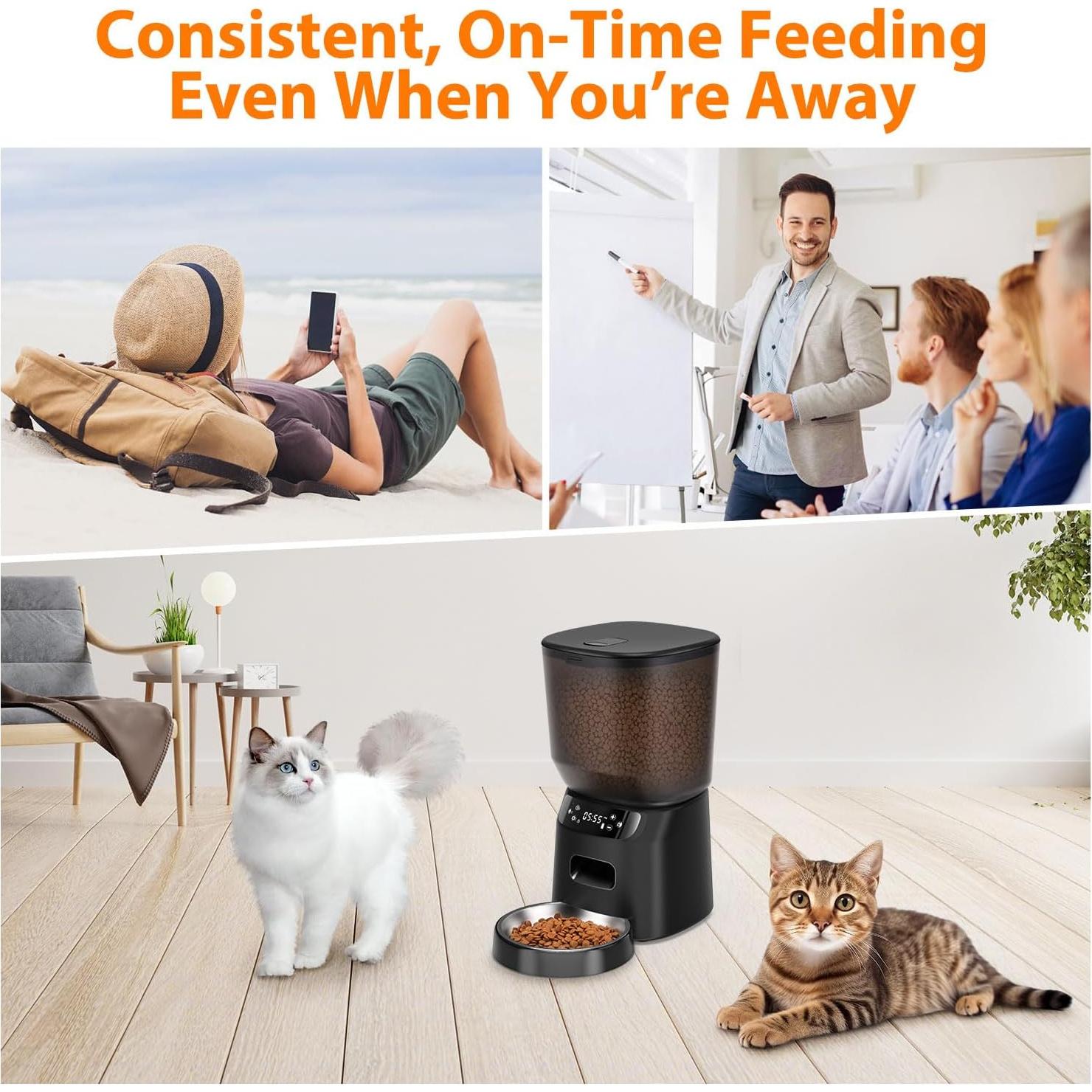 Dispensador Automático de Comida para Gatos Katalic 4L Control de Porciones