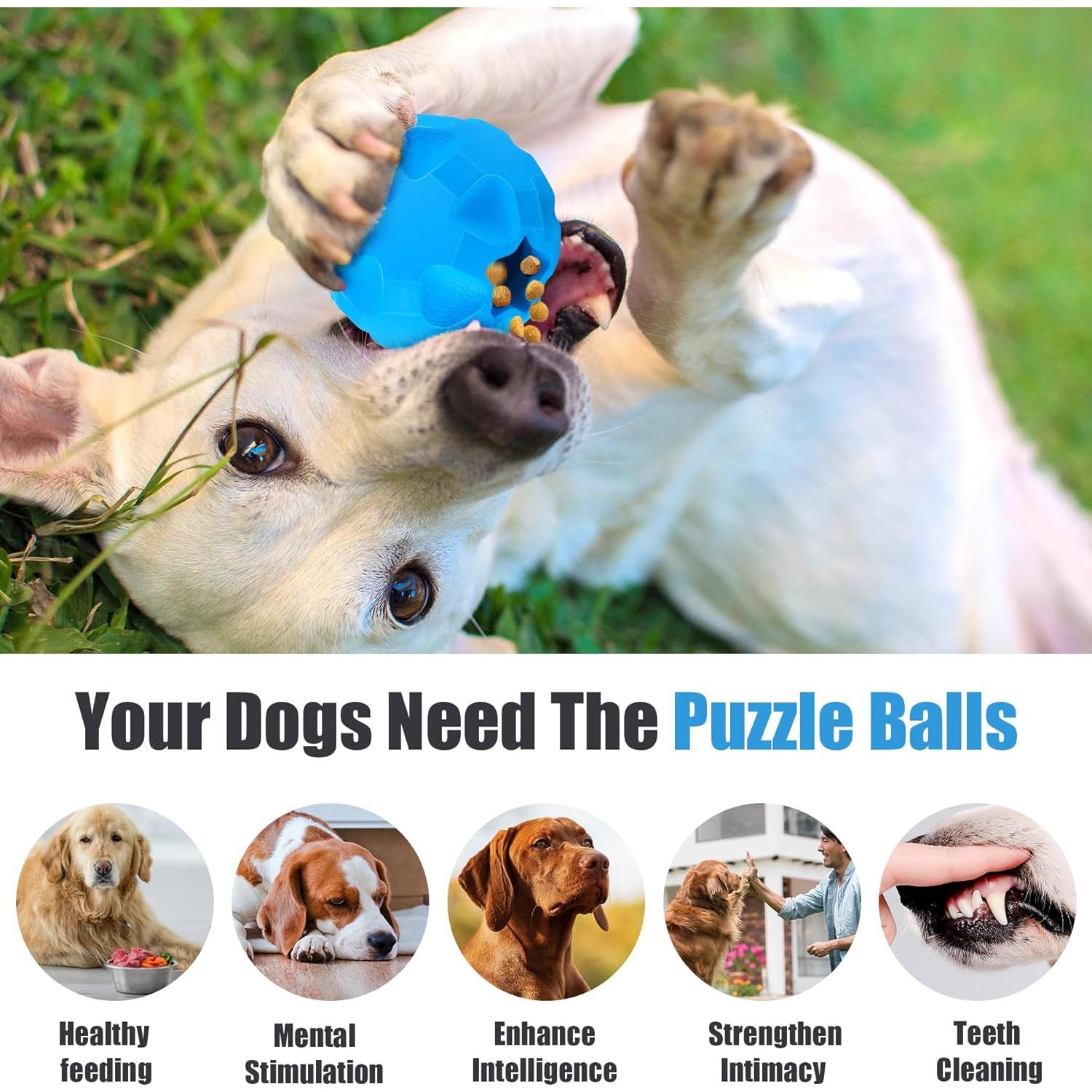 Pelota Interactiva para Perros TROUSKAIG Azul 8.89 cm