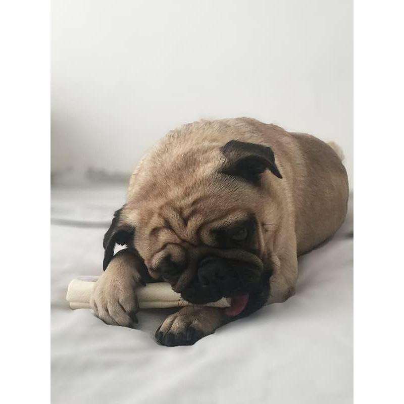 Rollos de piel de res para perros Cowdog - 10 unidades 100% natural