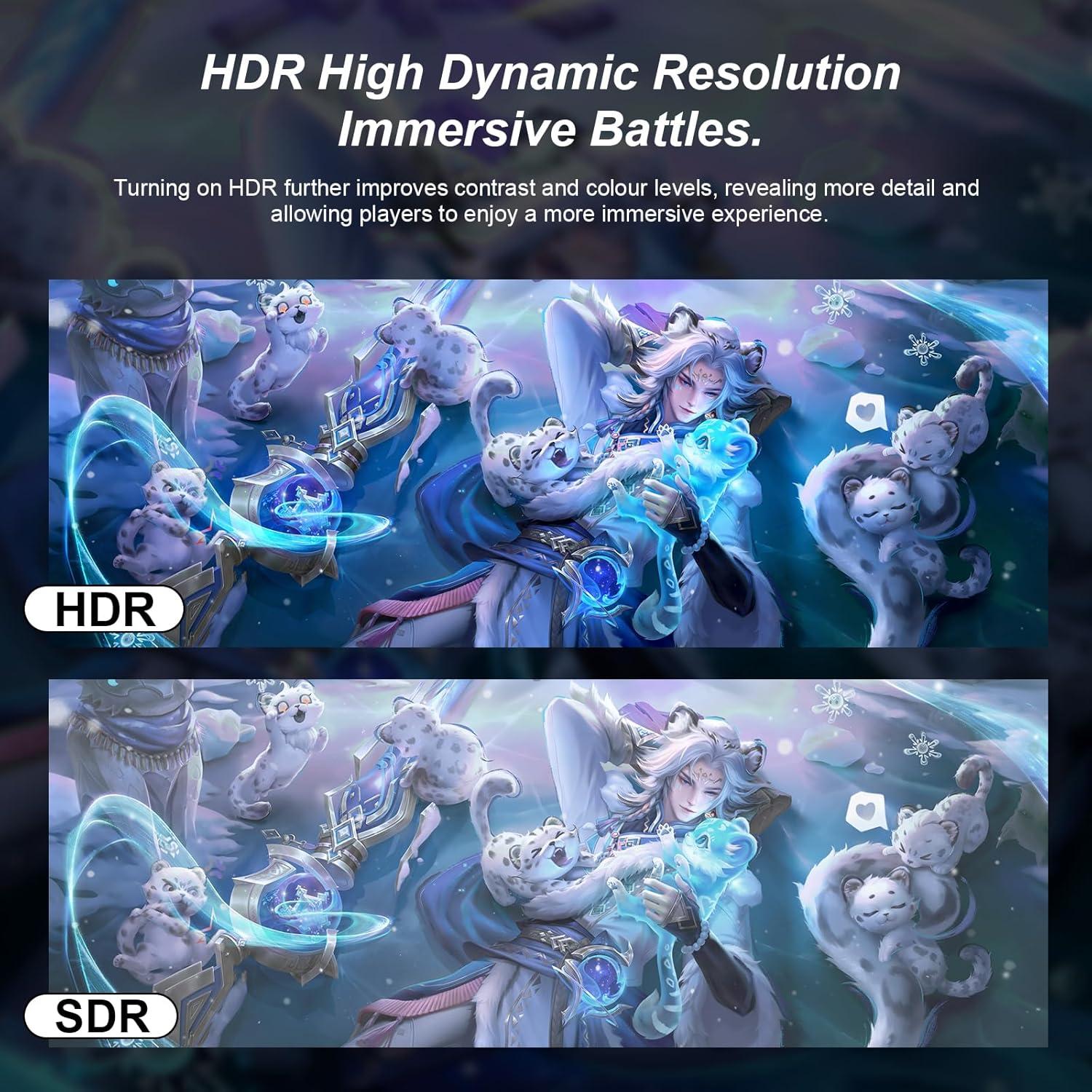 Monitor Curvo 24" Raywego Q24B10 FHD 100Hz HDMI x2