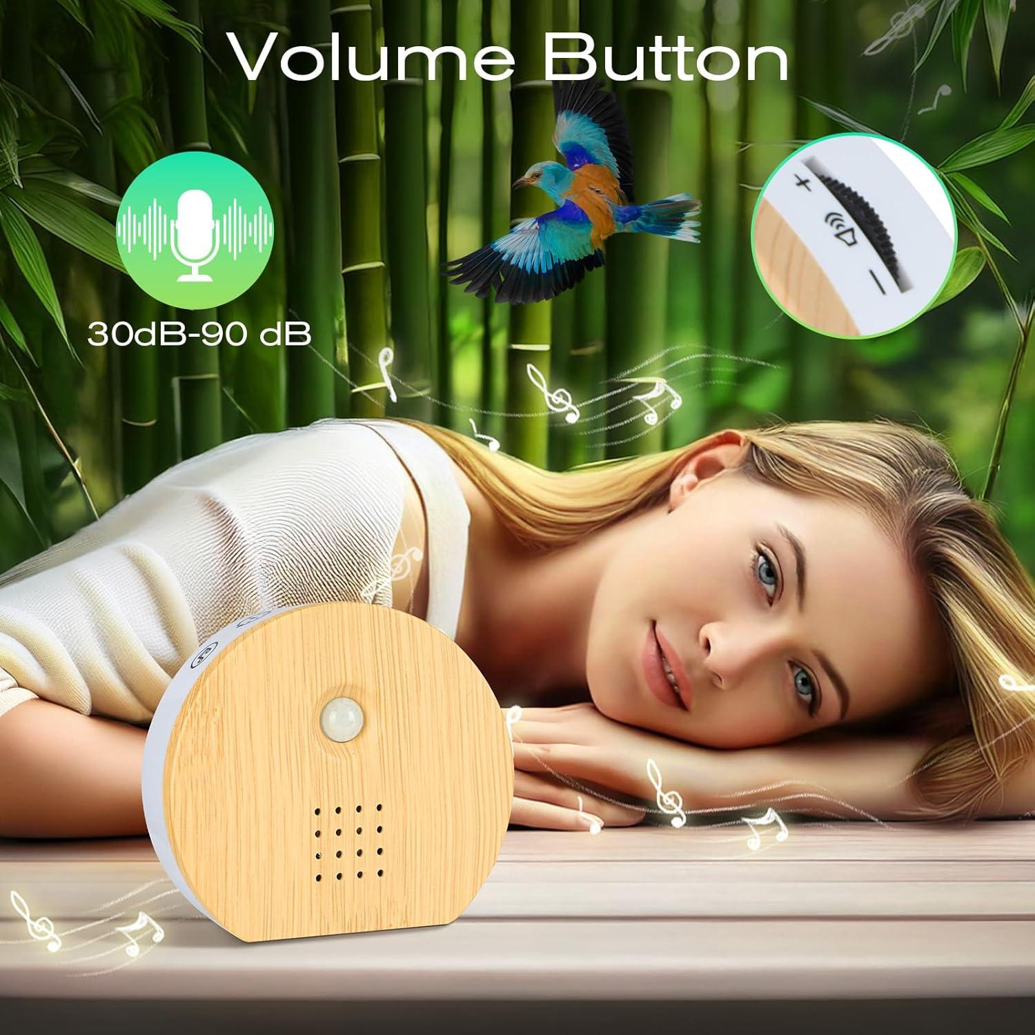 Caja de Sonido de Naturaleza FLLVILLEY con 9 Canciones Relajantes