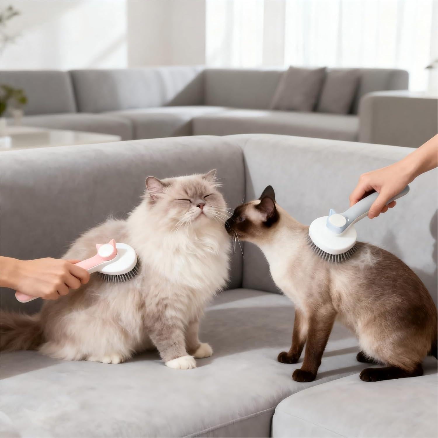 Cat Brush for Shedding & Grooming - Self-Cleaning Deshedding Tool Professional Dog Brush for Short/Long Hair, Indoor Cats Brush with Tangle-Free Control, Gentle on Kittens & Sensitive Skin (Blue)