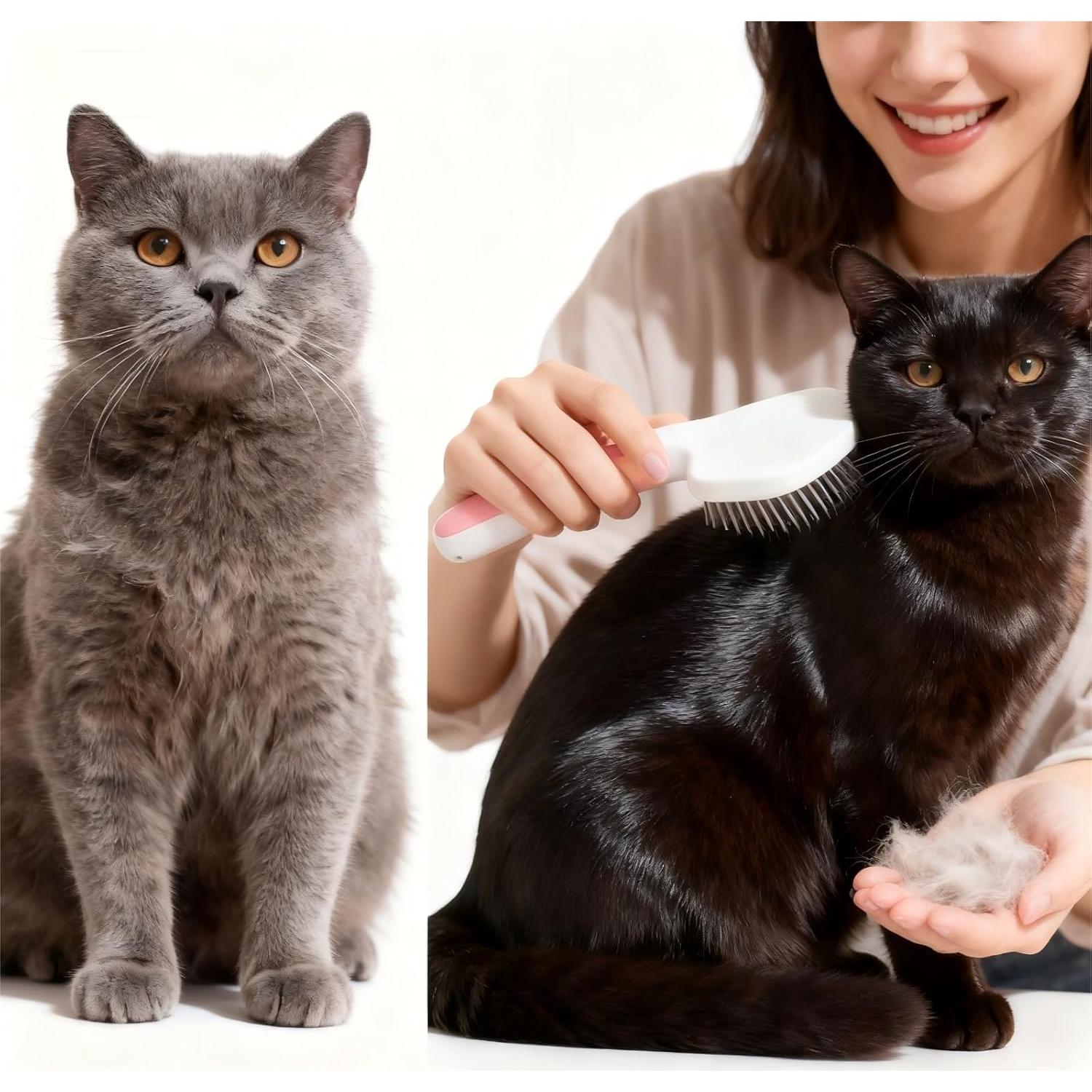 Cat Brush for Shedding & Grooming - Self-Cleaning Deshedding Tool Professional Dog Brush for Short/Long Hair, Indoor Cats Brush with Tangle-Free Control, Gentle on Kittens & Sensitive Skin (Blue)