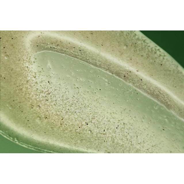 Exfoliante Corporal Aesop Geranio 180ml - Piel Suave e Hidratada