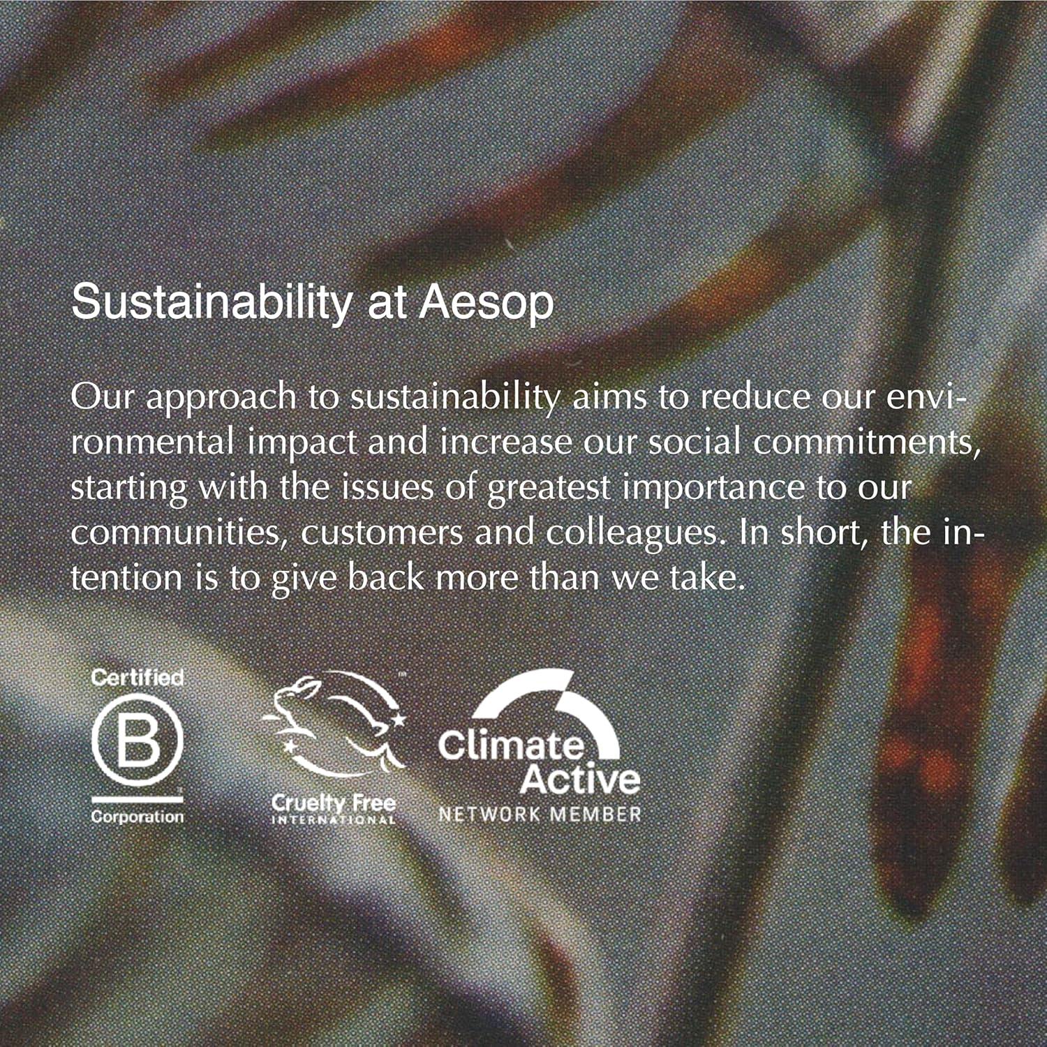 Exfoliante Corporal Aesop Geranio 180ml - Piel Suave e Hidratada