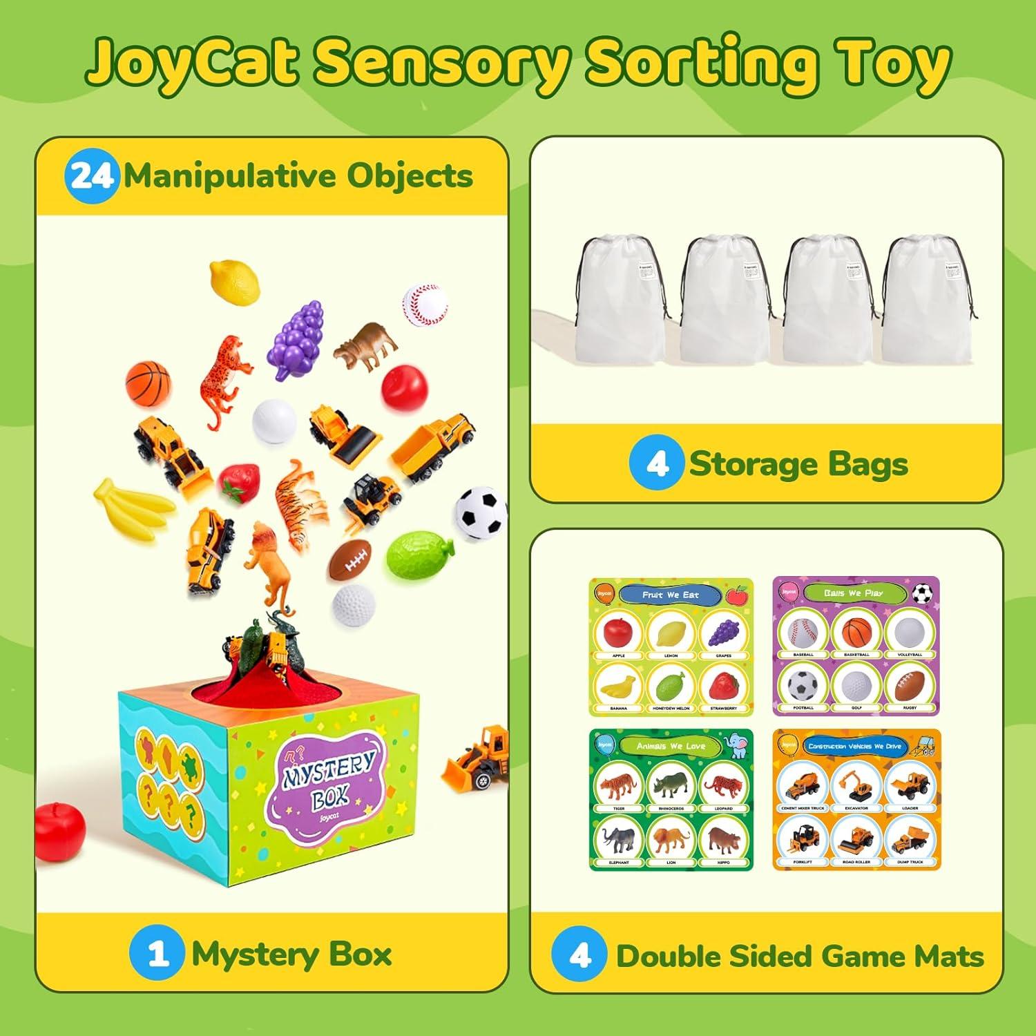 JoyCat Juguetes de Clasificación 24 Piezas para Niños 3-5 Años