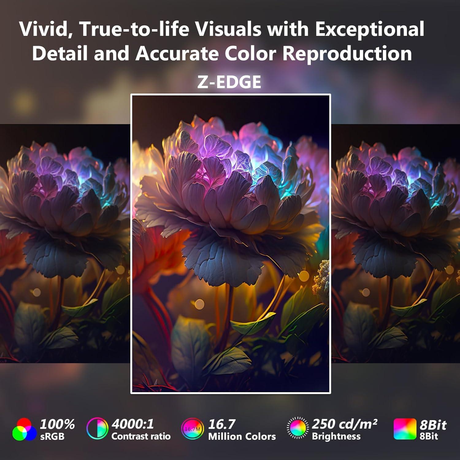 Monitor Curvo Z-Edge U24C 24" Full HD 1080P 100Hz