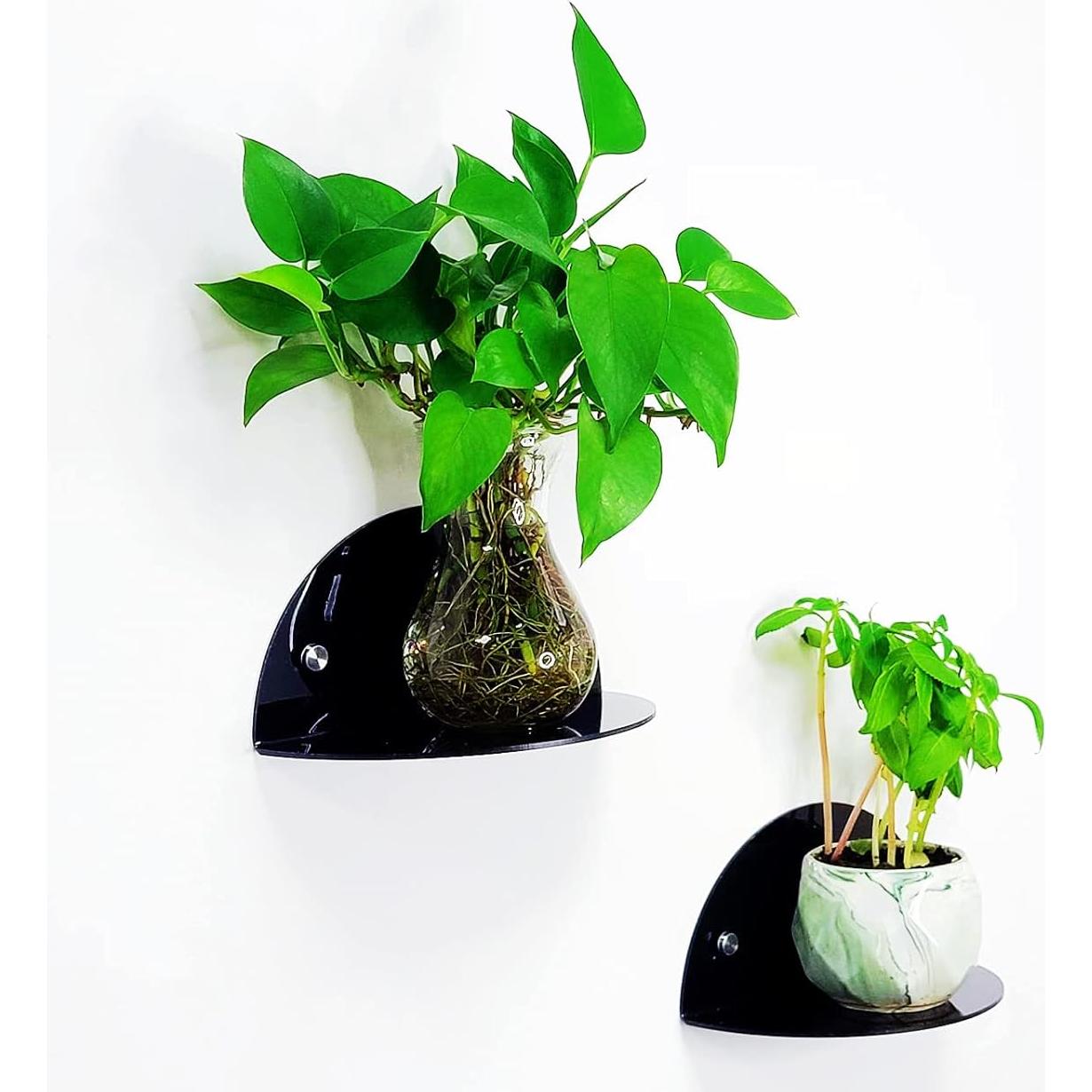 Estantes Flotantes Acrílicos ROYALITA - Paquete de 2, Negro