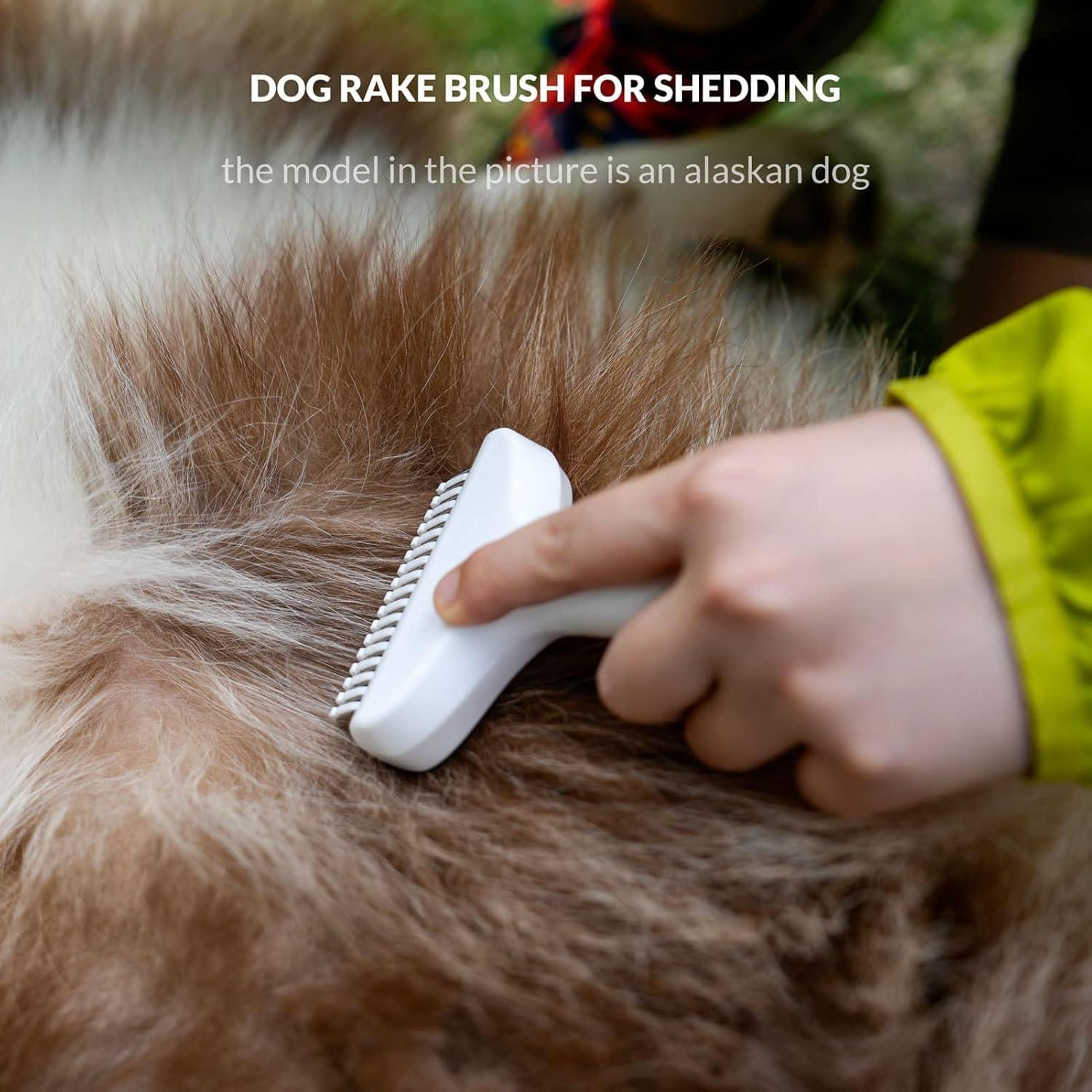 Cepillo Rascador Autolimpiante Taomypets para Perros y Gatos