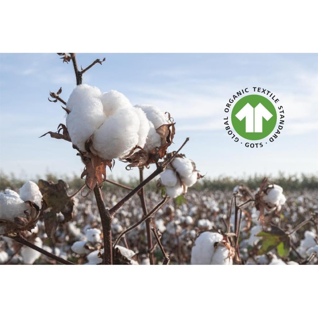 Protector de Colchón Twin XL Comfort Beddings 100% Algodón Orgánico Impermeable