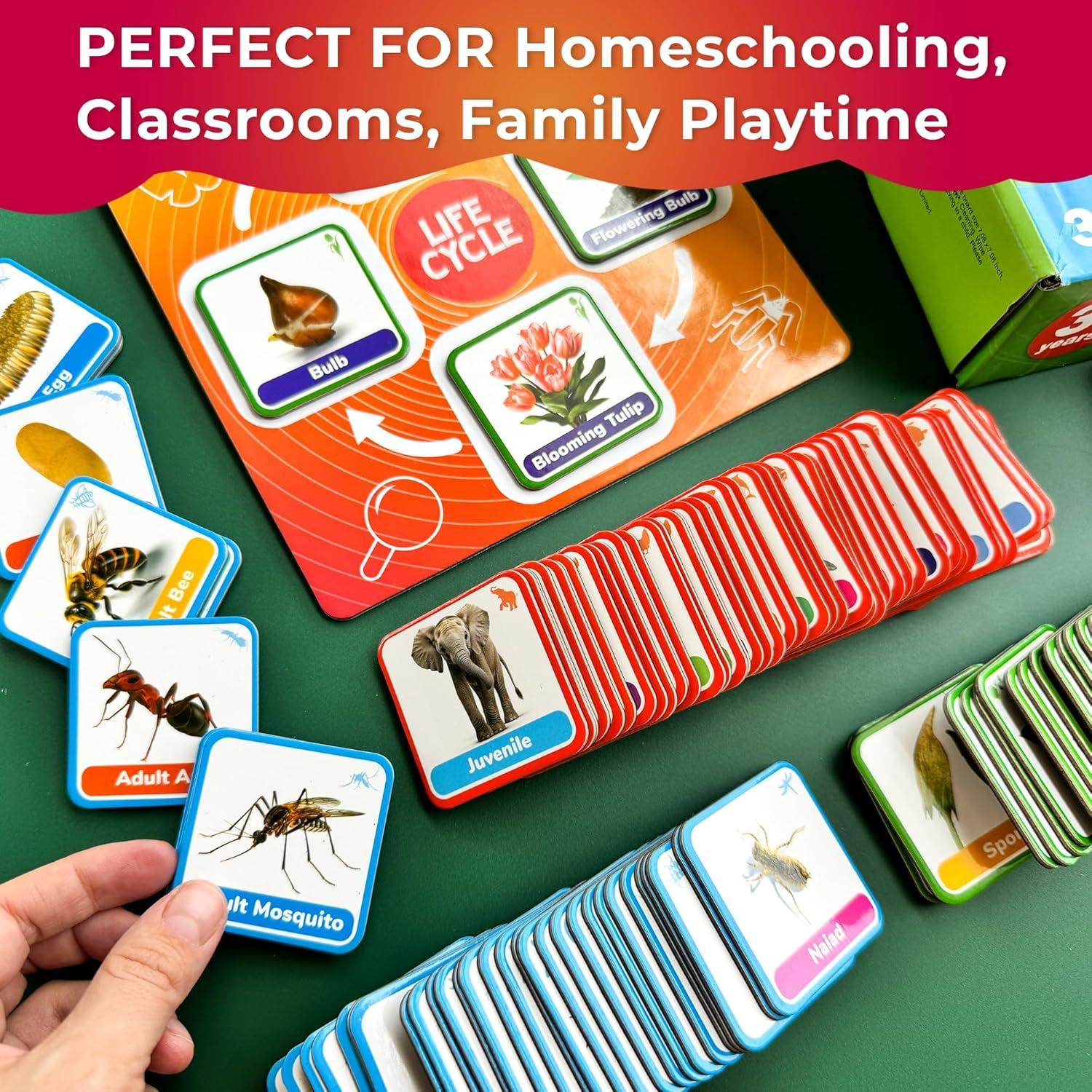 Kit Magnético de Ciclo de Vida QUOKKA - 120 Tarjetas Educativas