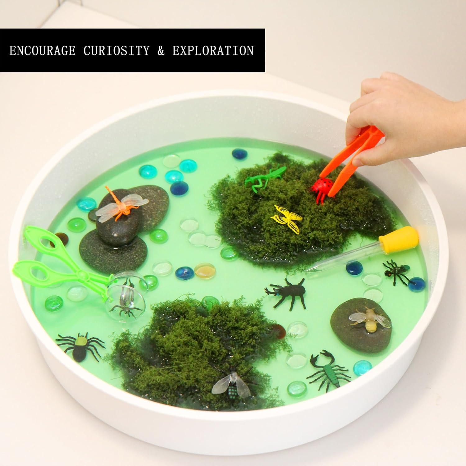 Conjunto de Caja Sensorial Montessori El Río - 1.99 kg