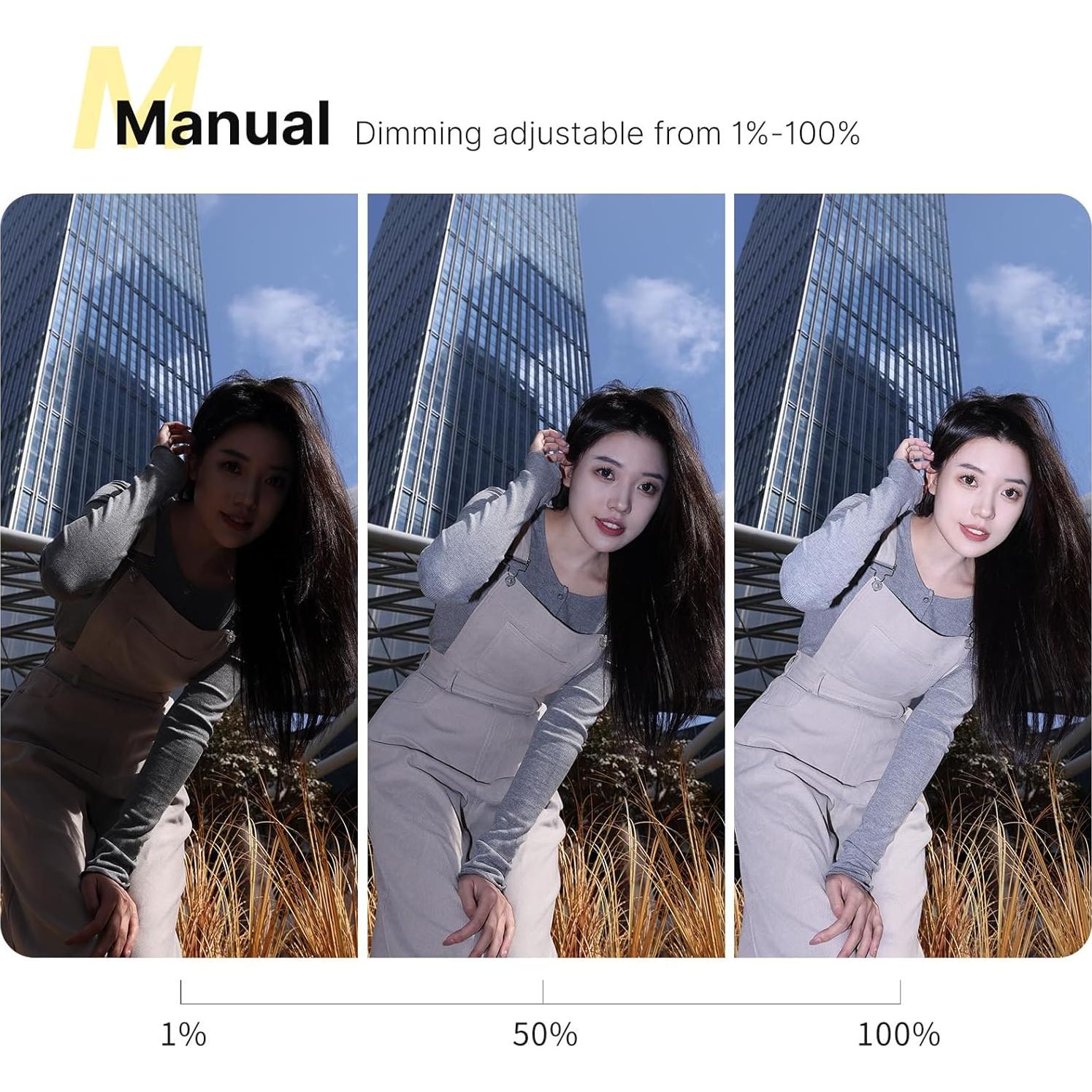 Flash Ulanzi LM20 Speedlite GN12 CCT 5600K para cámaras