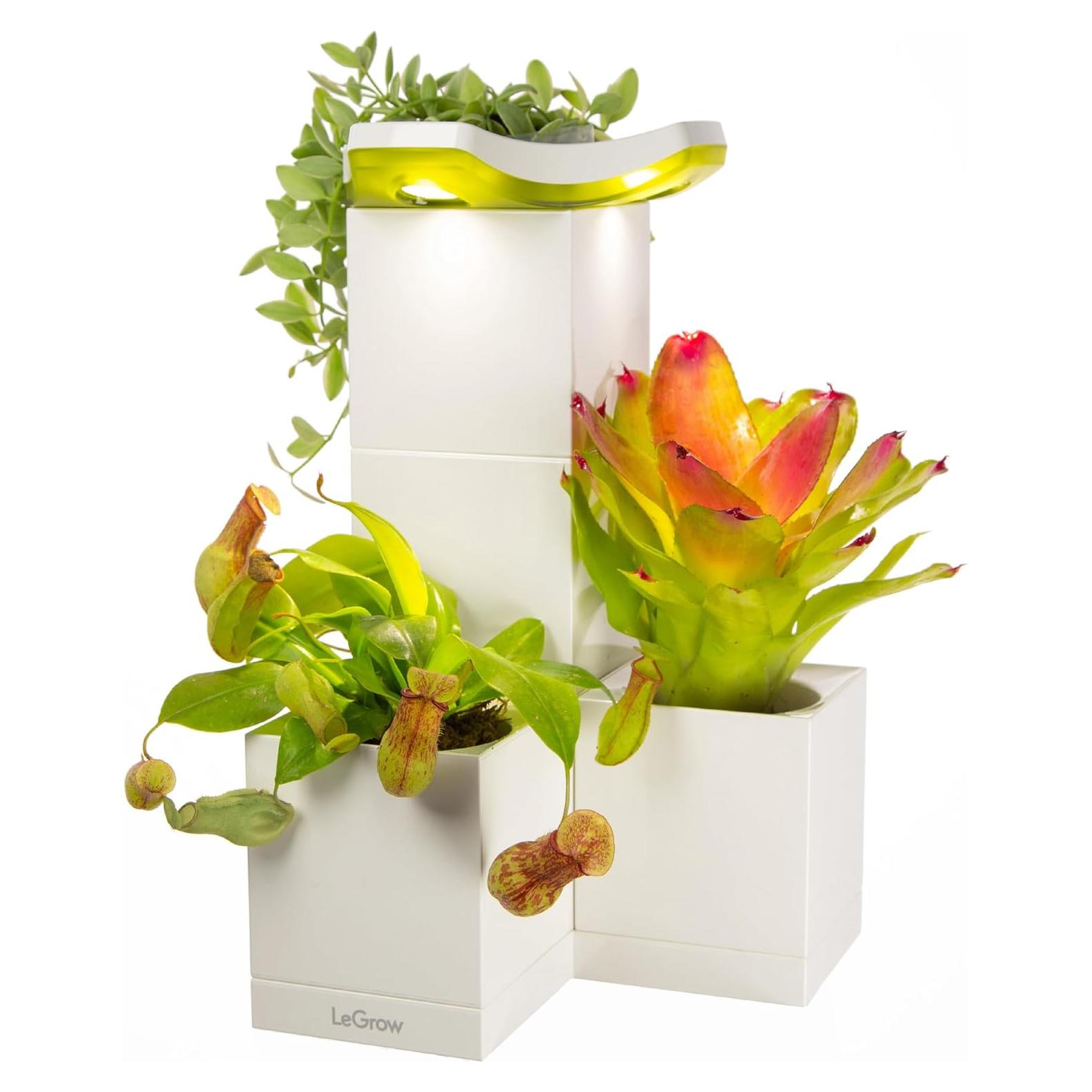 Maceta Interior LeGrow con Luz LED y Autorriego - 2 Unidades