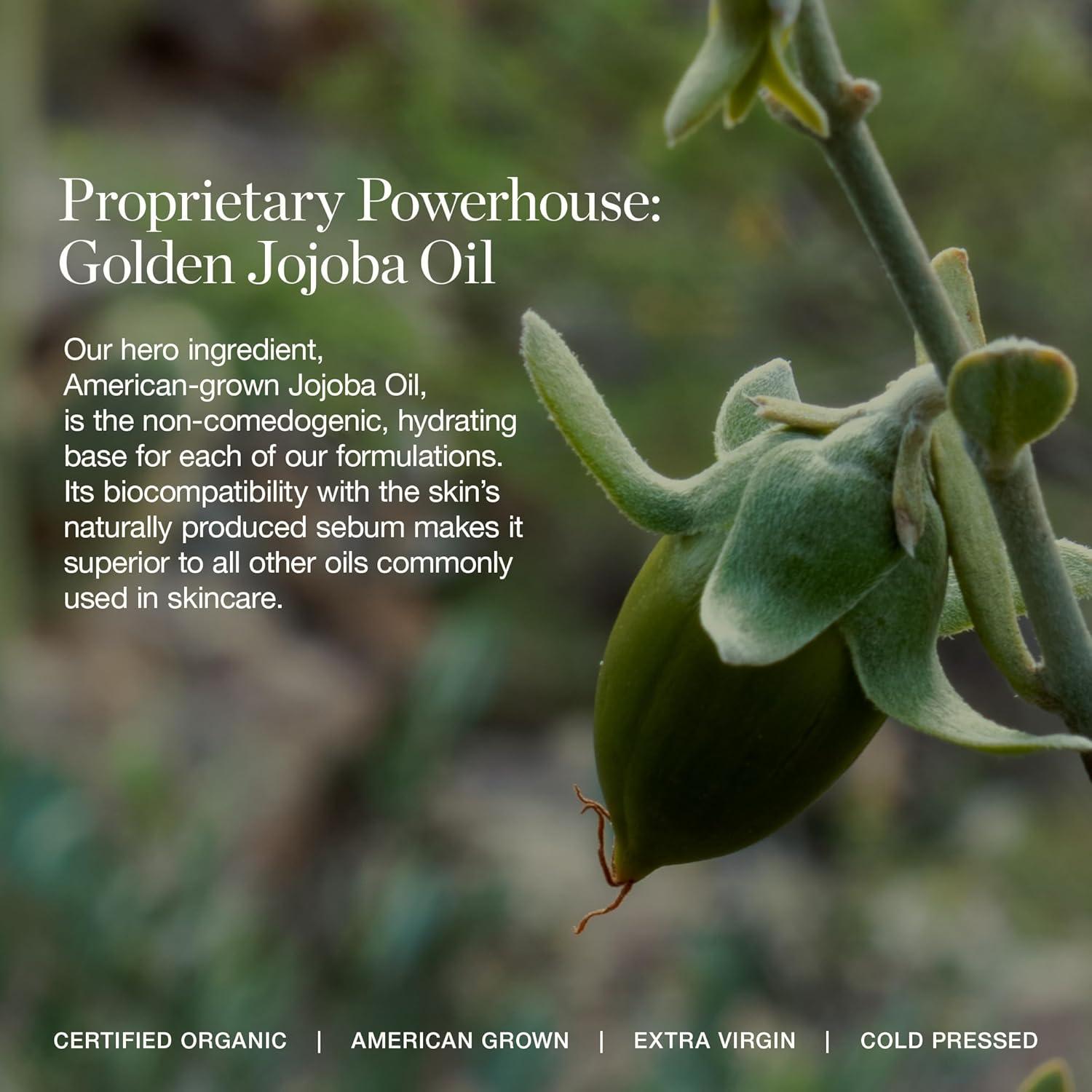 Corrector de Ojos Ogee ACACIA 12.25N Orgánico Cobertura Completa