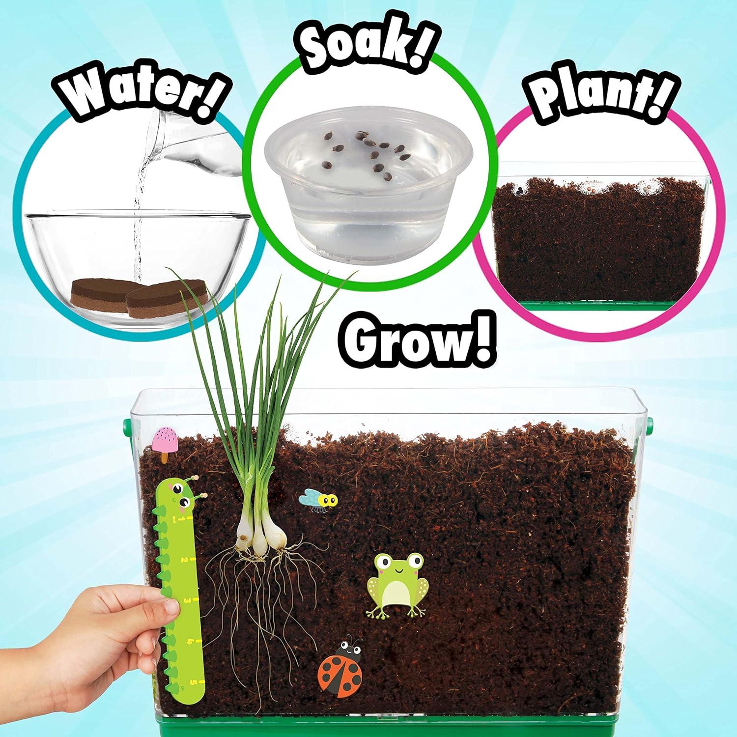 Kit de Jardinería Educativo Miracle GRO - Observador de Raíces