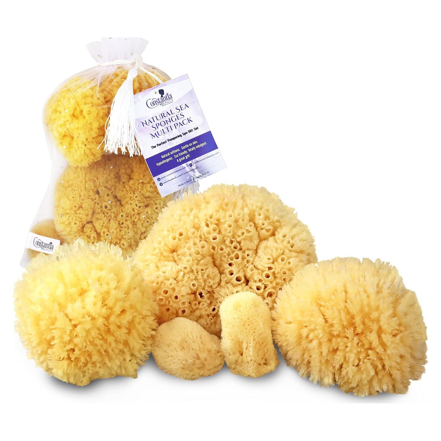 Esponjas Marinas Naturales Constantia Beauty - Set de 5 Piezas